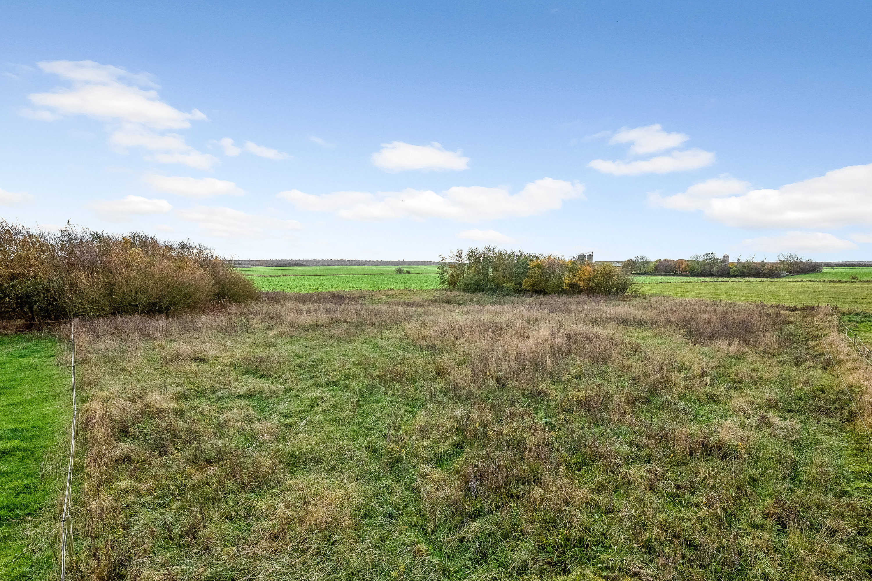 Fremhævet hestefold billede i fuldskærmstilstand. Billede af Børringvej 18, Fabjerg, 7620 Lemvig