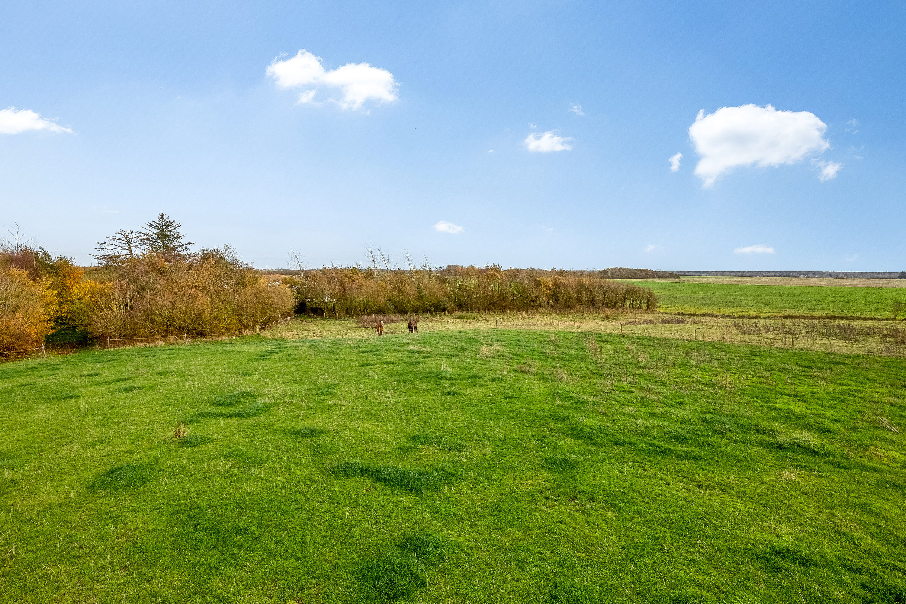 Fremhævet hestefold billede i fuldskærmstilstand. Billede af Børringvej 18, Fabjerg, 7620 Lemvig