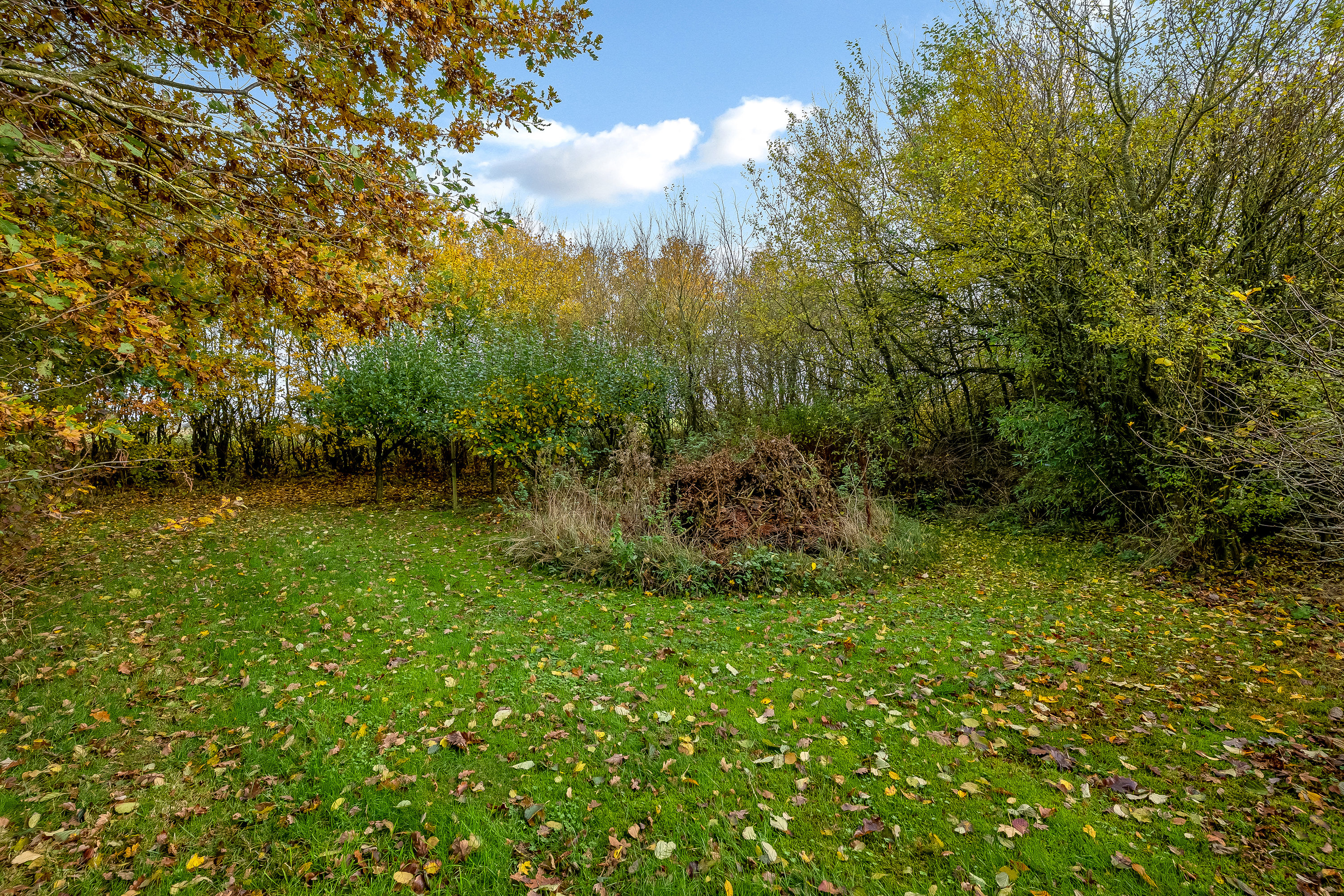 Fremhævet andet billede i fuldskærmstilstand. Billede af Børringvej 18, Fabjerg, 7620 Lemvig