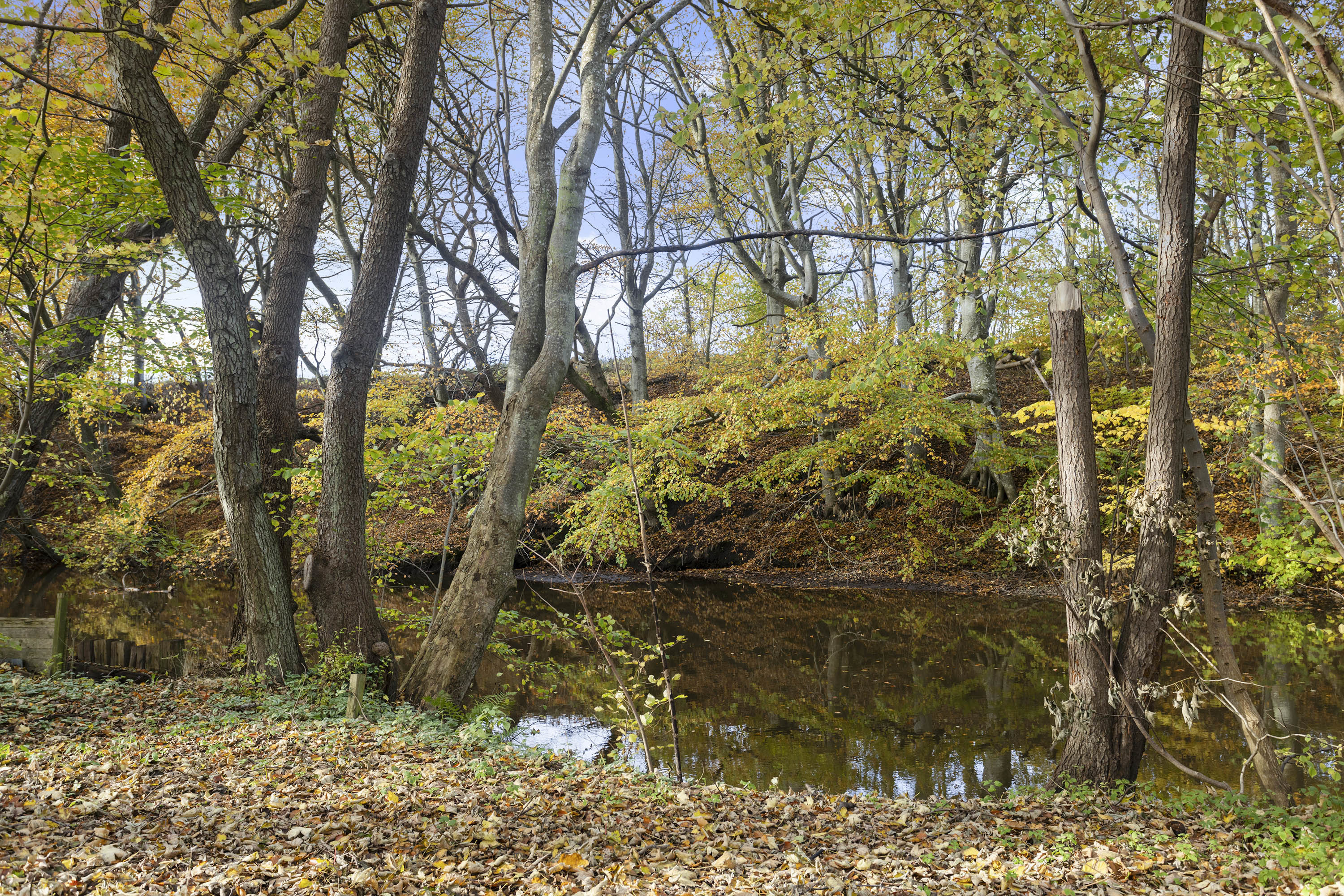 Fremhævet baghave billede i fuldskærmstilstand. Billede af Åhavevej 26, Voerså, 9300 Sæby