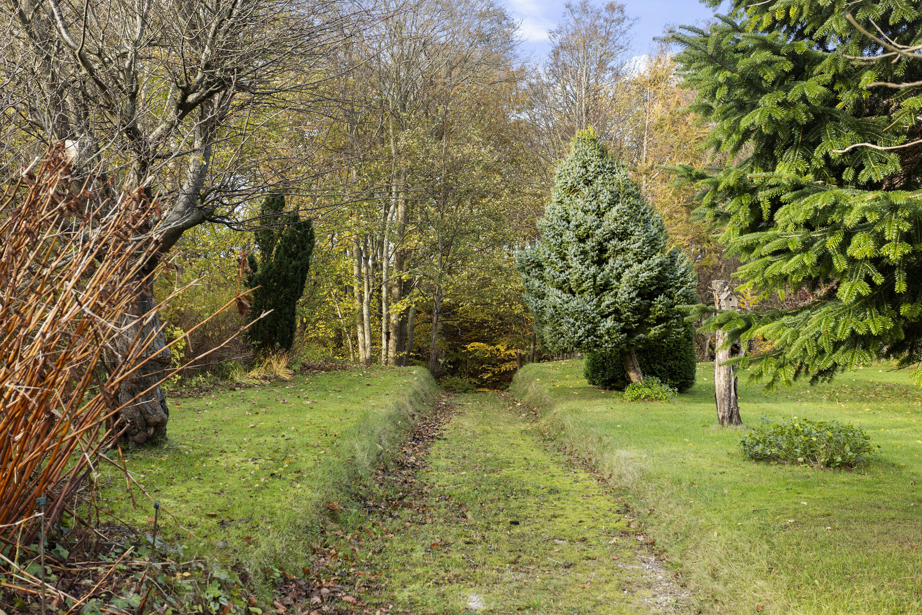 Fremhævet have billede i fuldskærmstilstand. Billede af Åhavevej 26, Voerså, 9300 Sæby