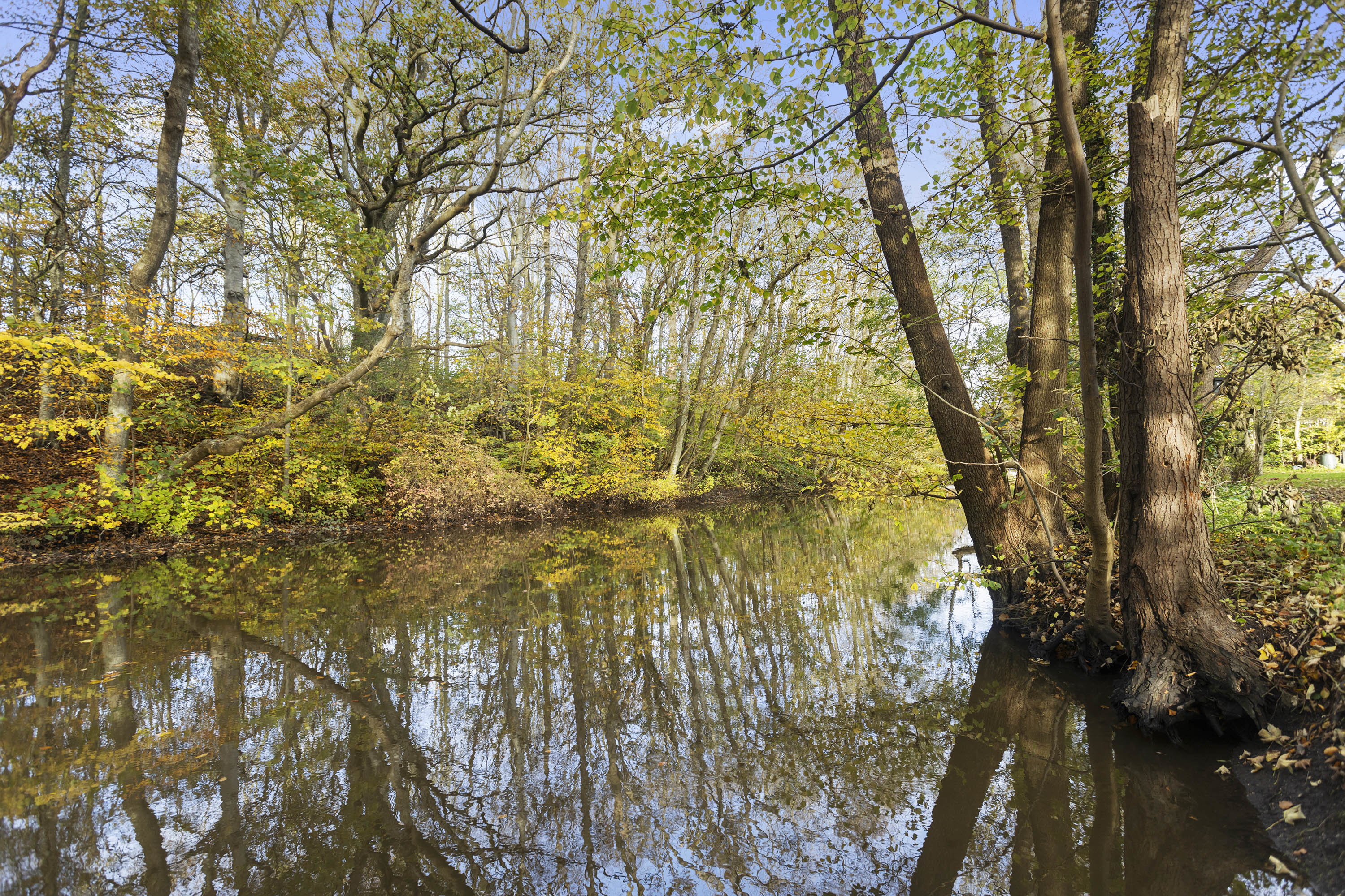 Fremhævet baghave billede i fuldskærmstilstand. Billede af Åhavevej 26, Voerså, 9300 Sæby