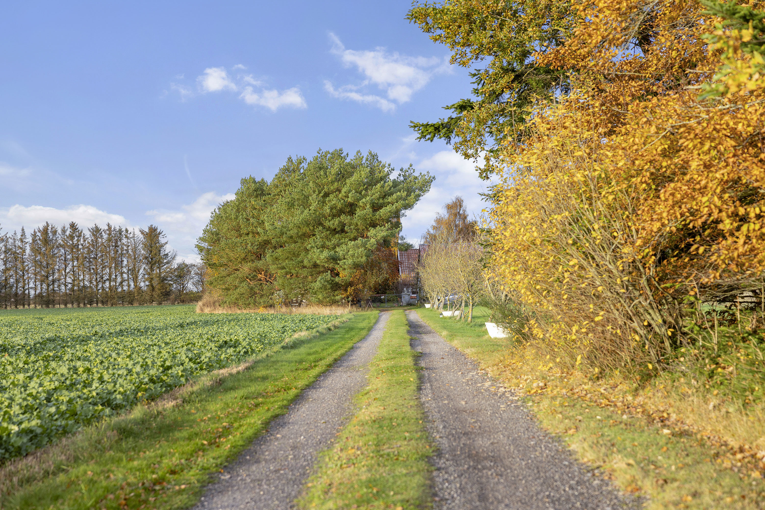 Miniaturebillede 2: indkørsel. Billede af Lyngsaafælledvej 11, Lyngså, 9300 Sæby