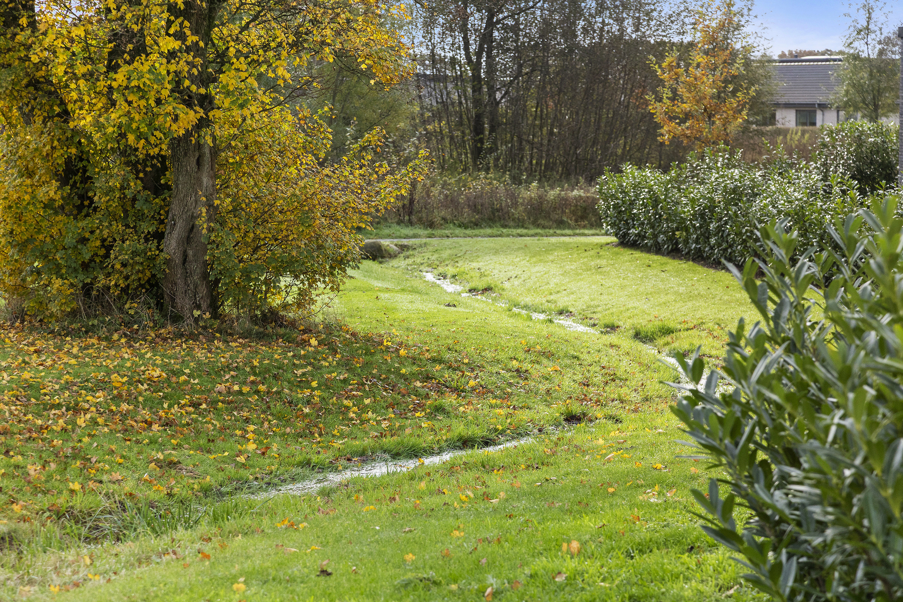 Fremhævet område billede i fuldskærmstilstand. Billede af Kongstedgårds Alle 21, 6600 Vejen