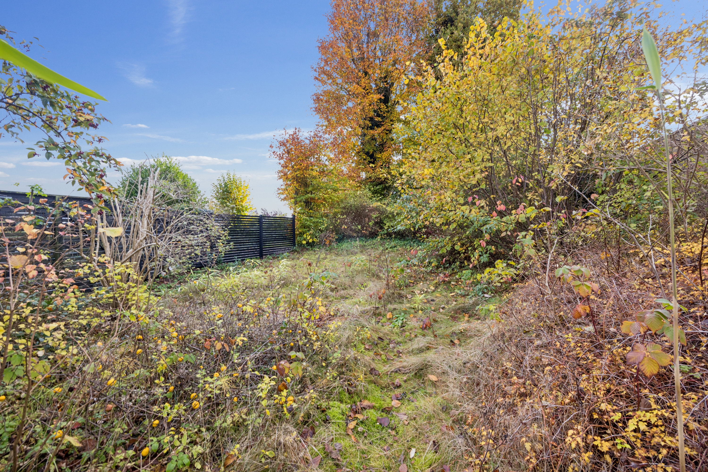 Fremhævet have billede i fuldskærmstilstand. Billede af Drøvten 41, 9310 Vodskov