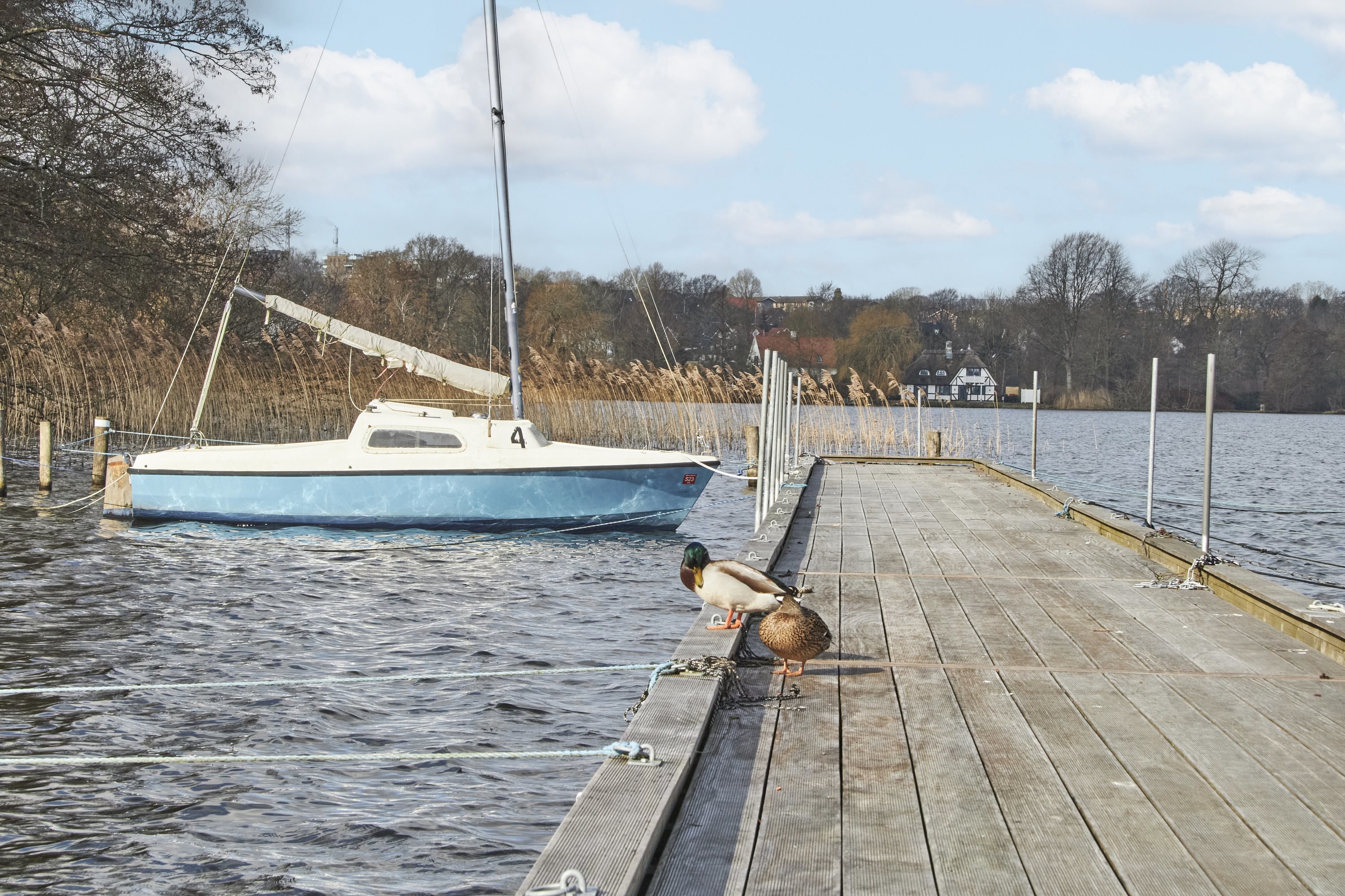 Fremhævet  billede i fuldskærmstilstand. Billede af Teglgårdshaven 8, 1. 3., 8800 Viborg