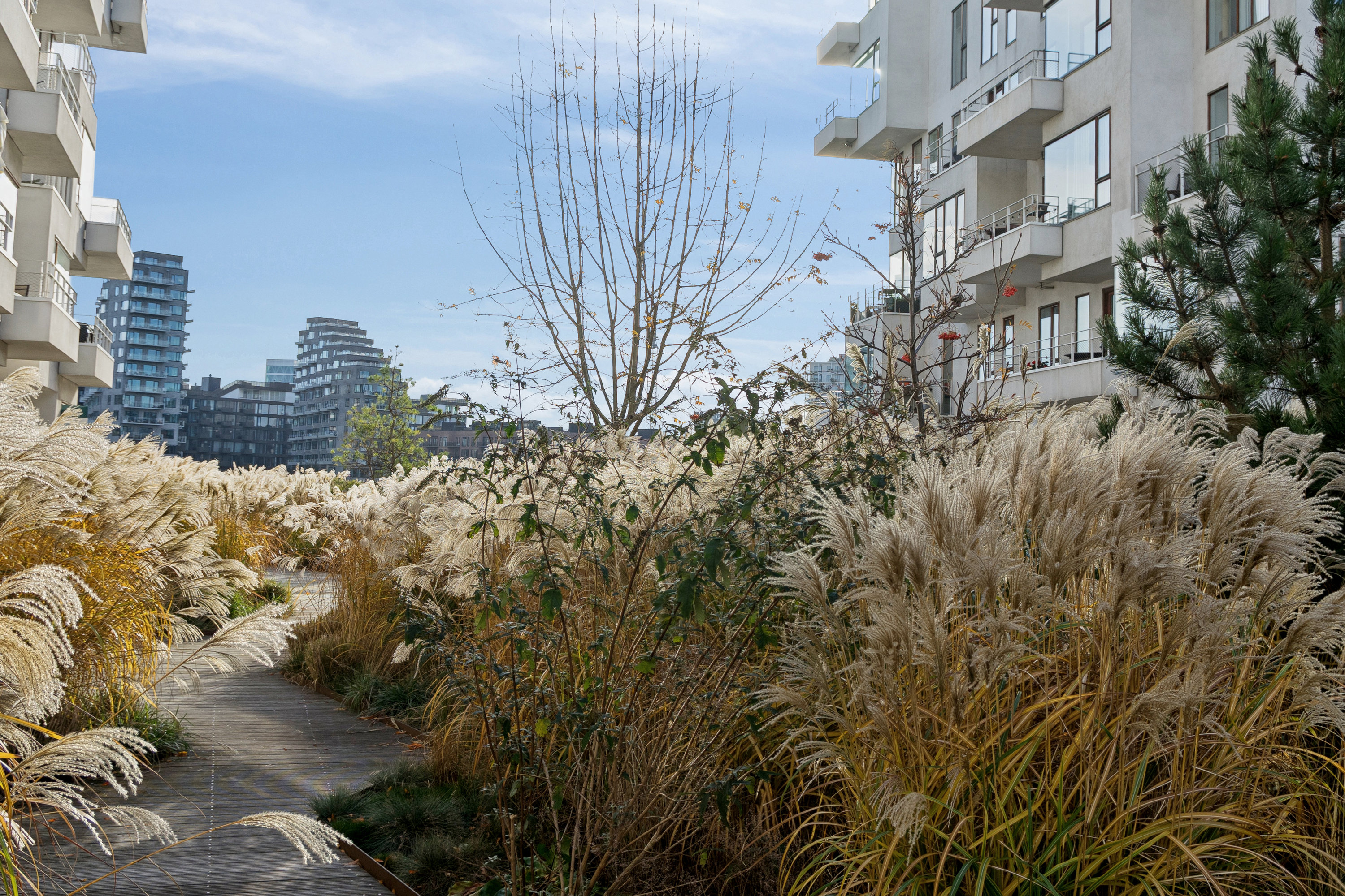 Fremhævet have billede i fuldskærmstilstand. Billede af Havneholmen 54, 5. mf., 1561 København V