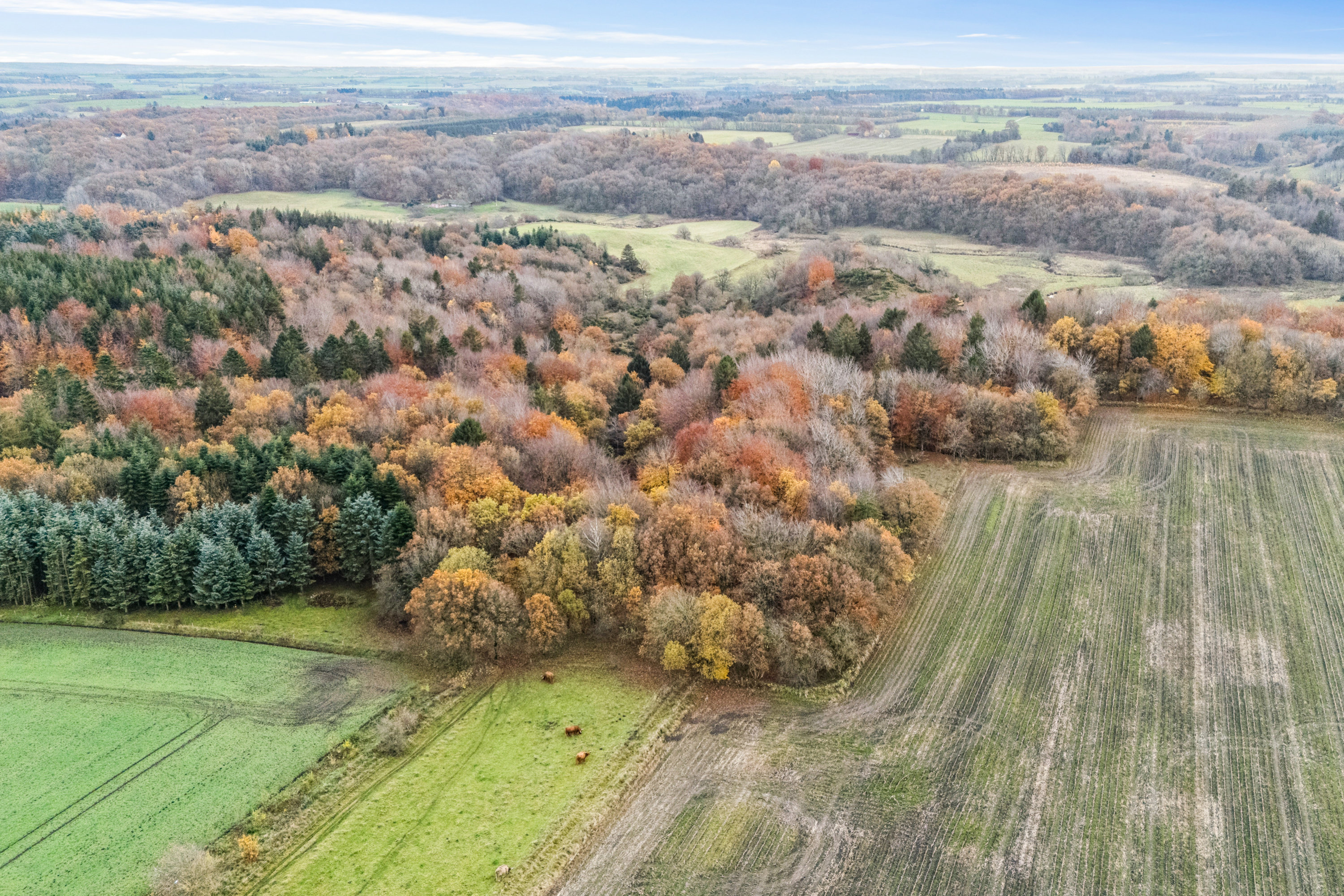 Fremhævet andet billede i fuldskærmstilstand. Billede af Torndalsvej 13, Åstrup, 9240 Nibe