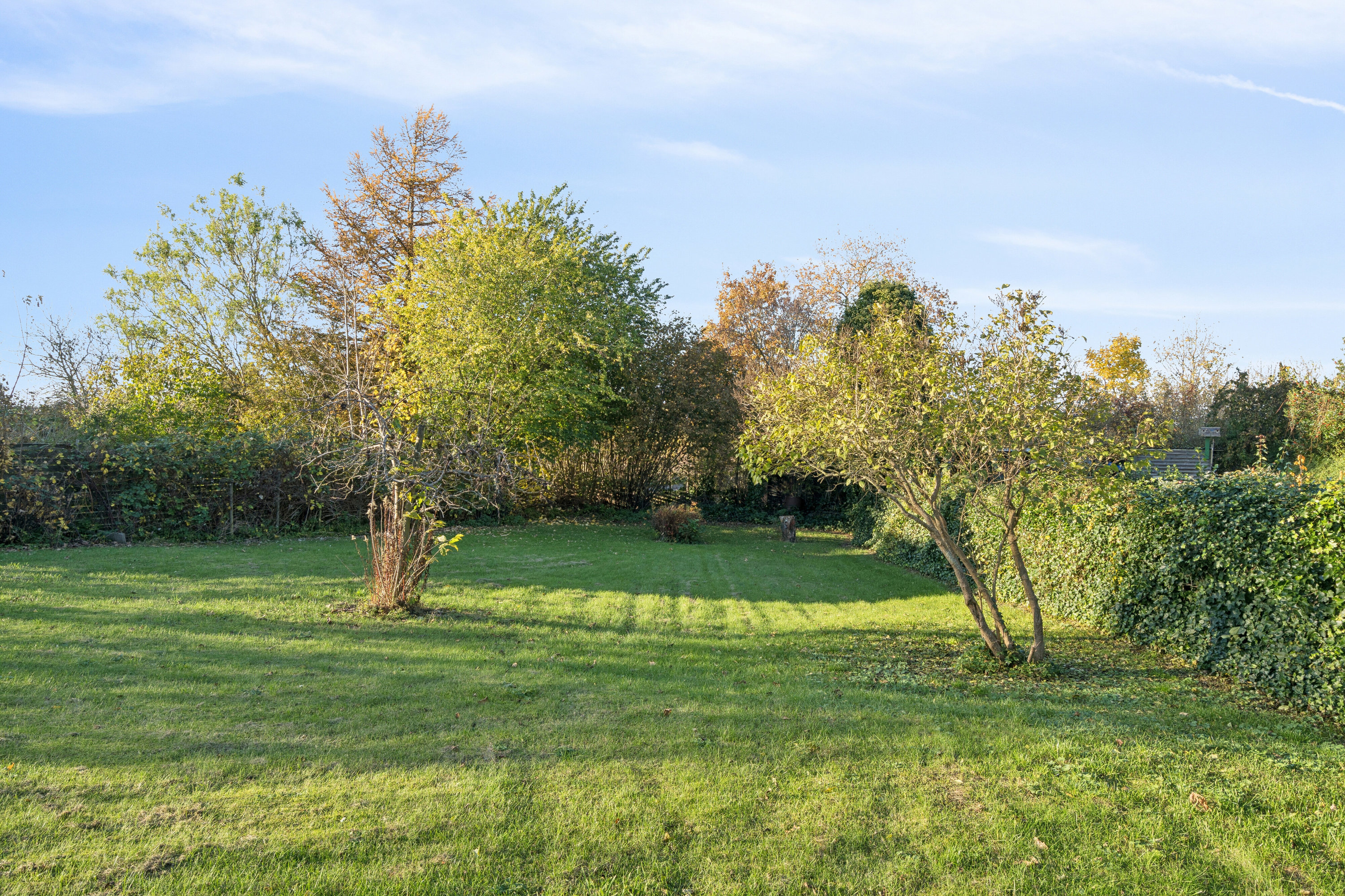 Fremhævet have billede i fuldskærmstilstand. Billede af Næstvedvej 48, Fensmark, 4684 Holmegaard