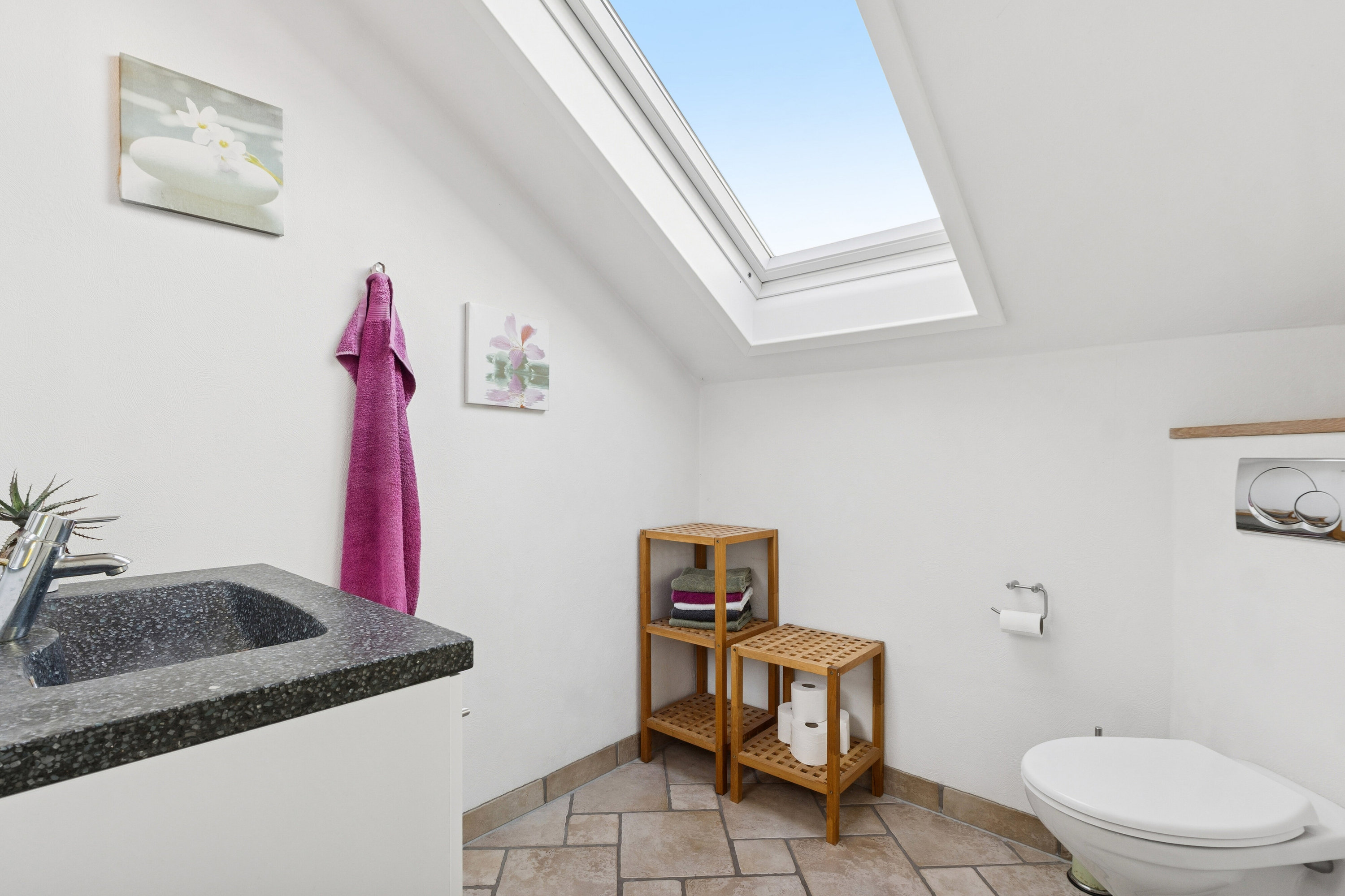 Fremhævet toilet billede i fuldskærmstilstand. Billede af Bakkevej 3, 7755 Bedsted Thy