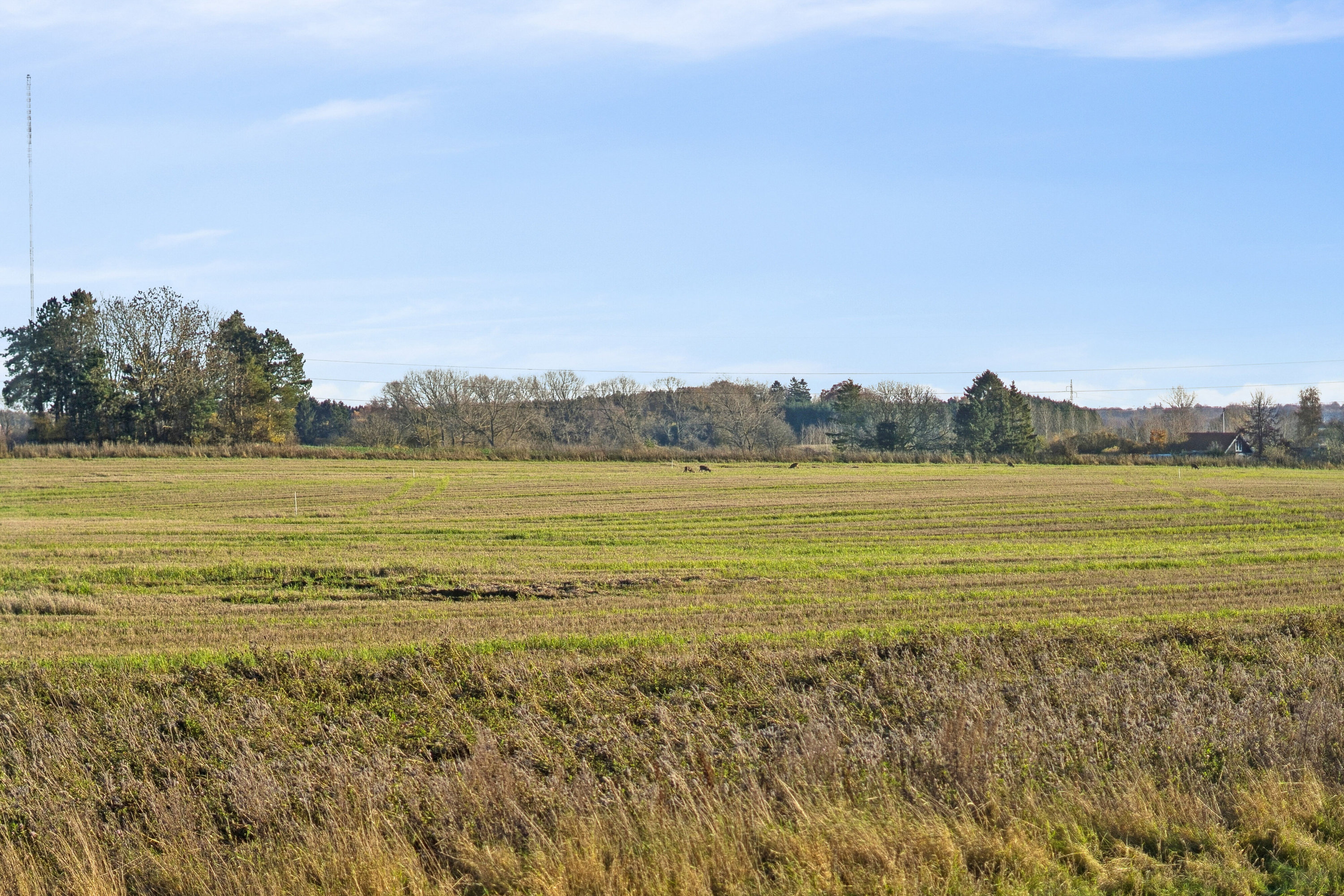 Fremhævet udsigt billede i fuldskærmstilstand. Billede af Næstvedvej 48, Fensmark, 4684 Holmegaard