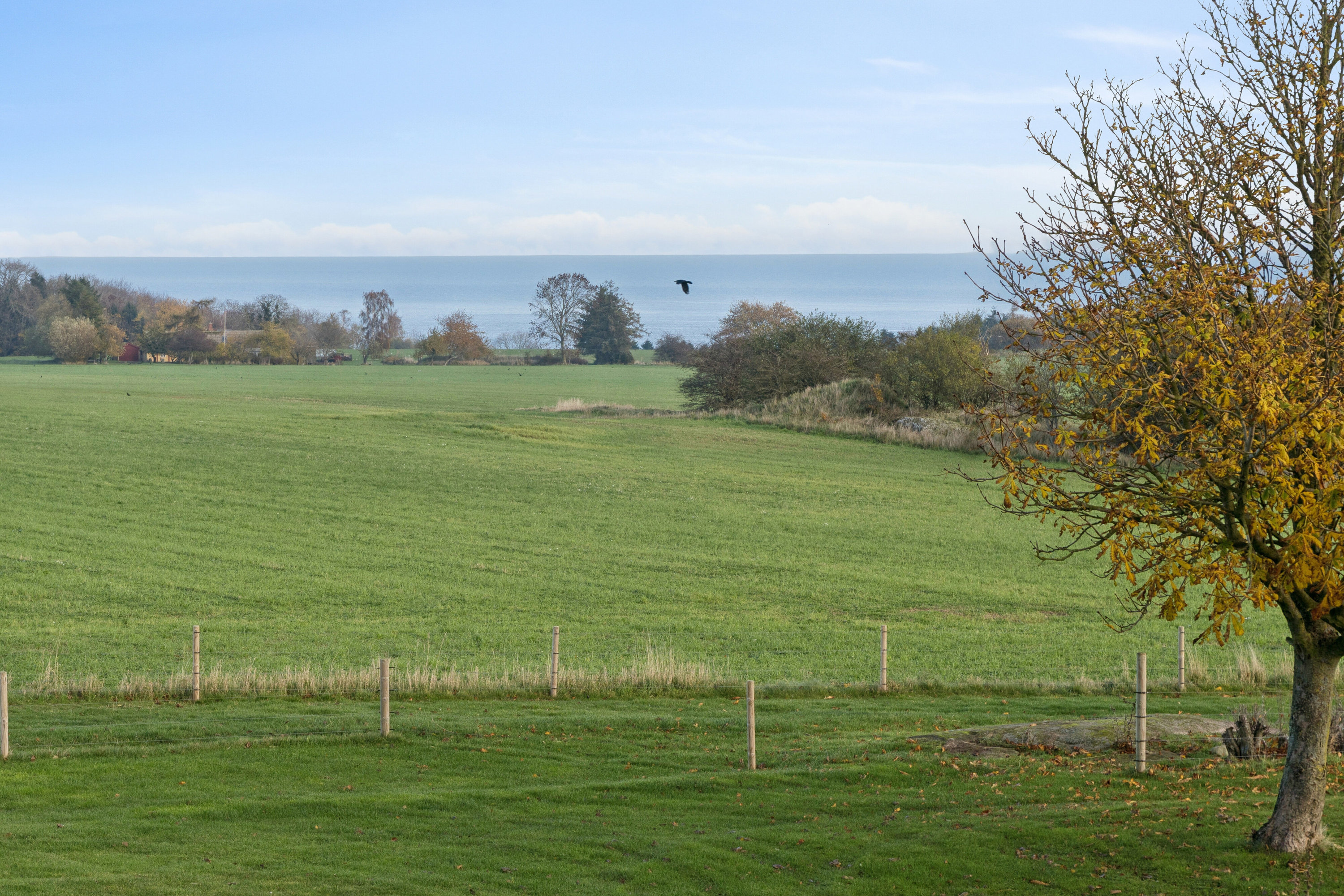 Fremhævet udendørs billede i fuldskærmstilstand. Billede af Østermarievej 14, Ibsker, 3740 Svaneke