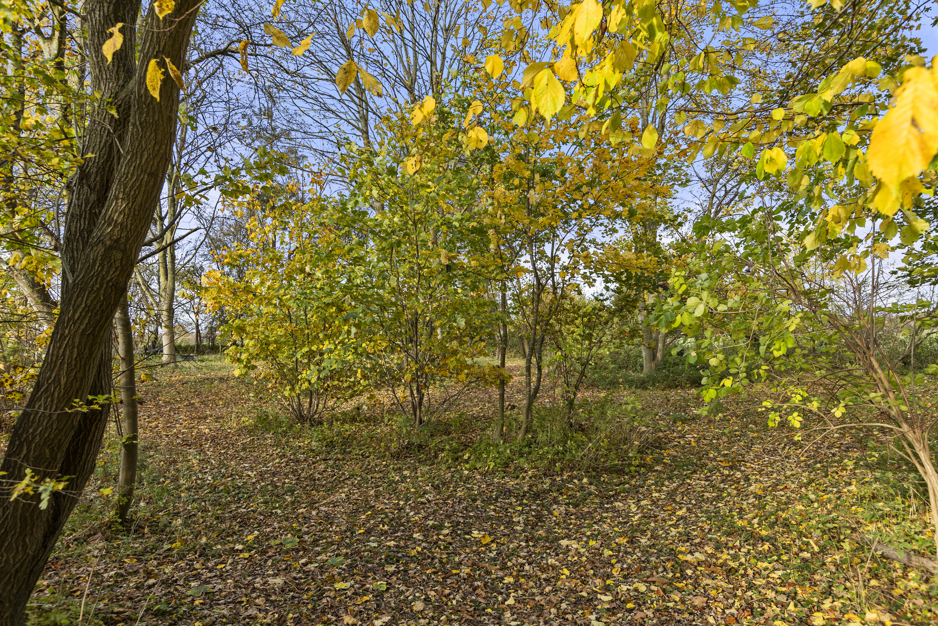 Fremhævet grund billede i fuldskærmstilstand. Billede af Elmebjergvej 31, 4180 Sorø