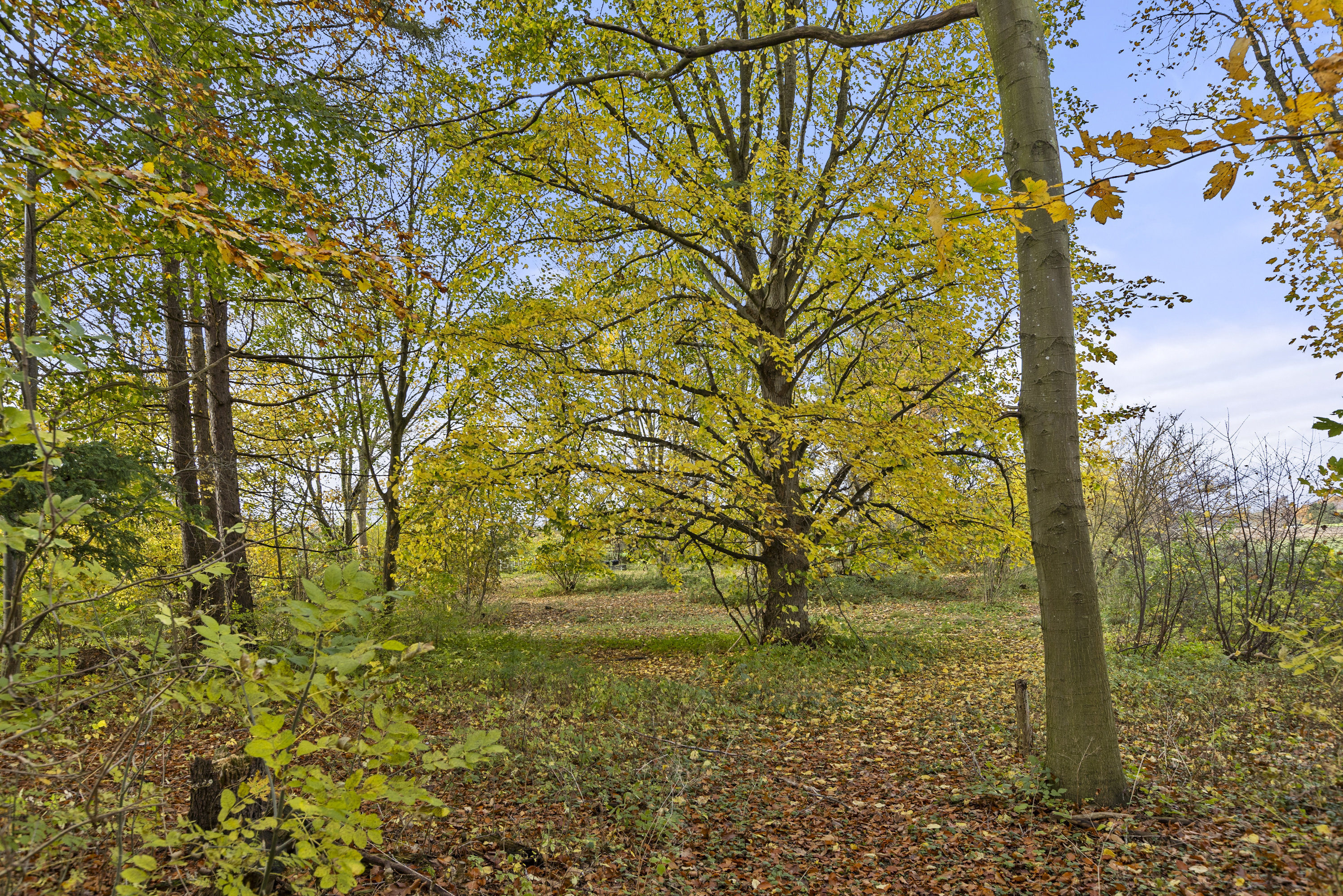 Fremhævet grund billede i fuldskærmstilstand. Billede af Elmebjergvej 31, 4180 Sorø