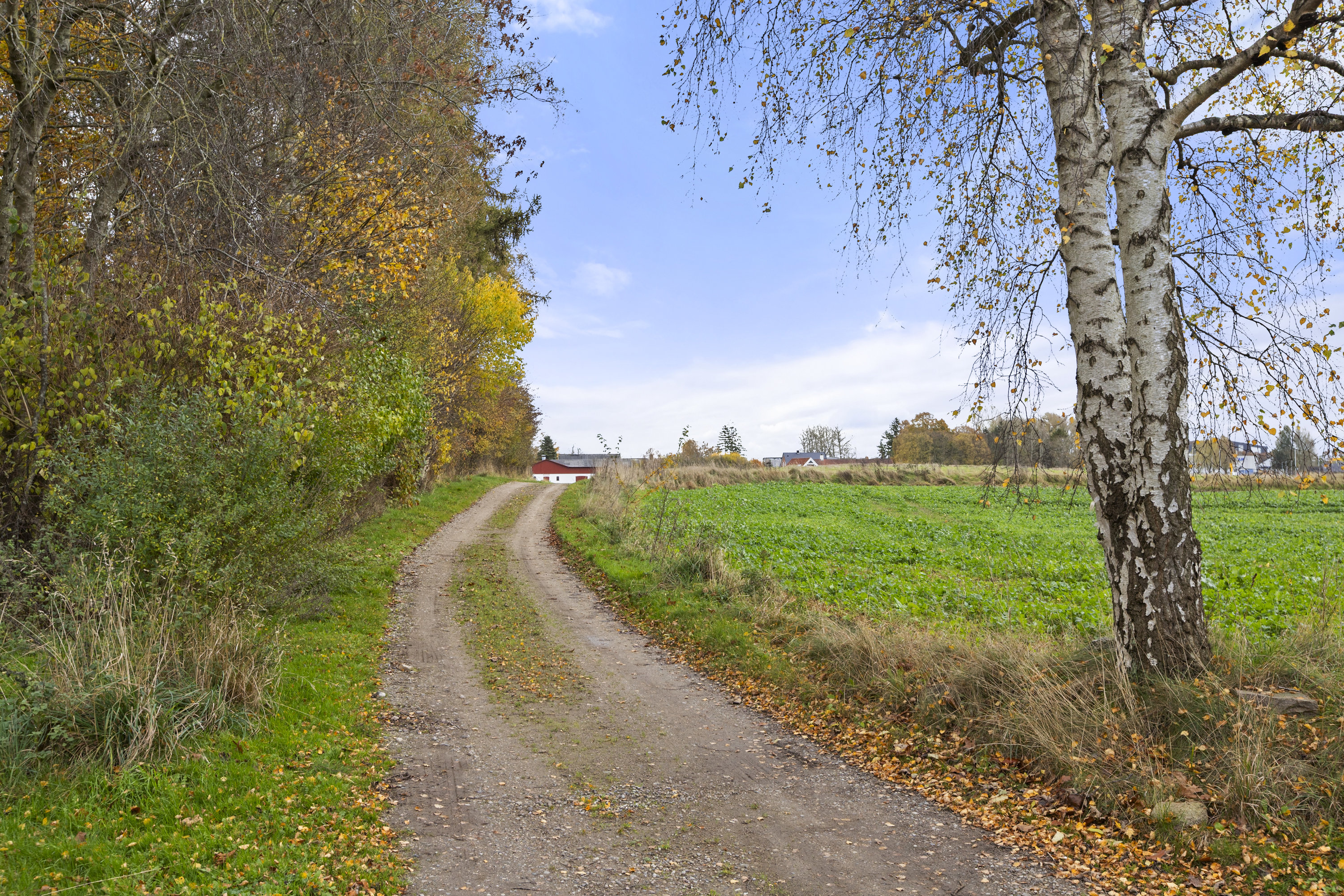 Fremhævet indkørsel billede i fuldskærmstilstand. Billede af Elmebjergvej 31, 4180 Sorø