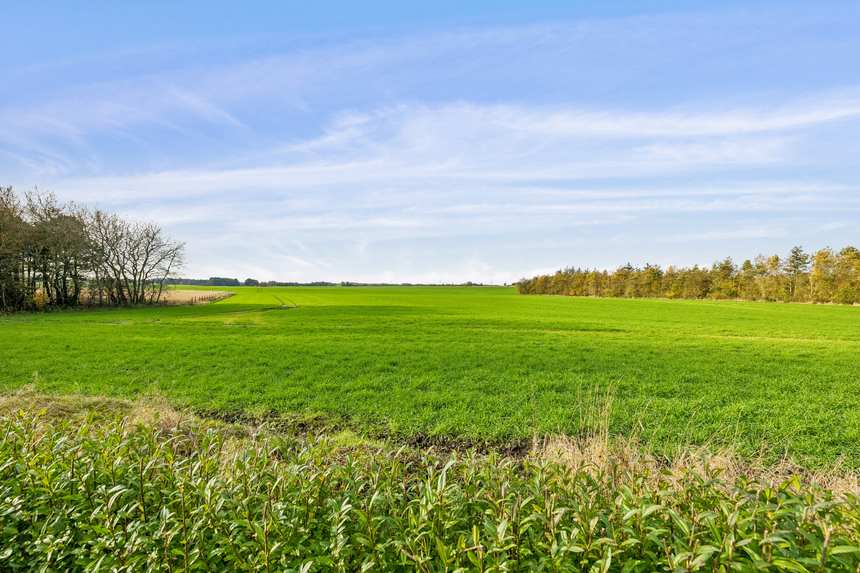 Fremhævet omgivelser billede i fuldskærmstilstand. Billede af Mariagervej 447, Hvidsten, 8981 Spentrup