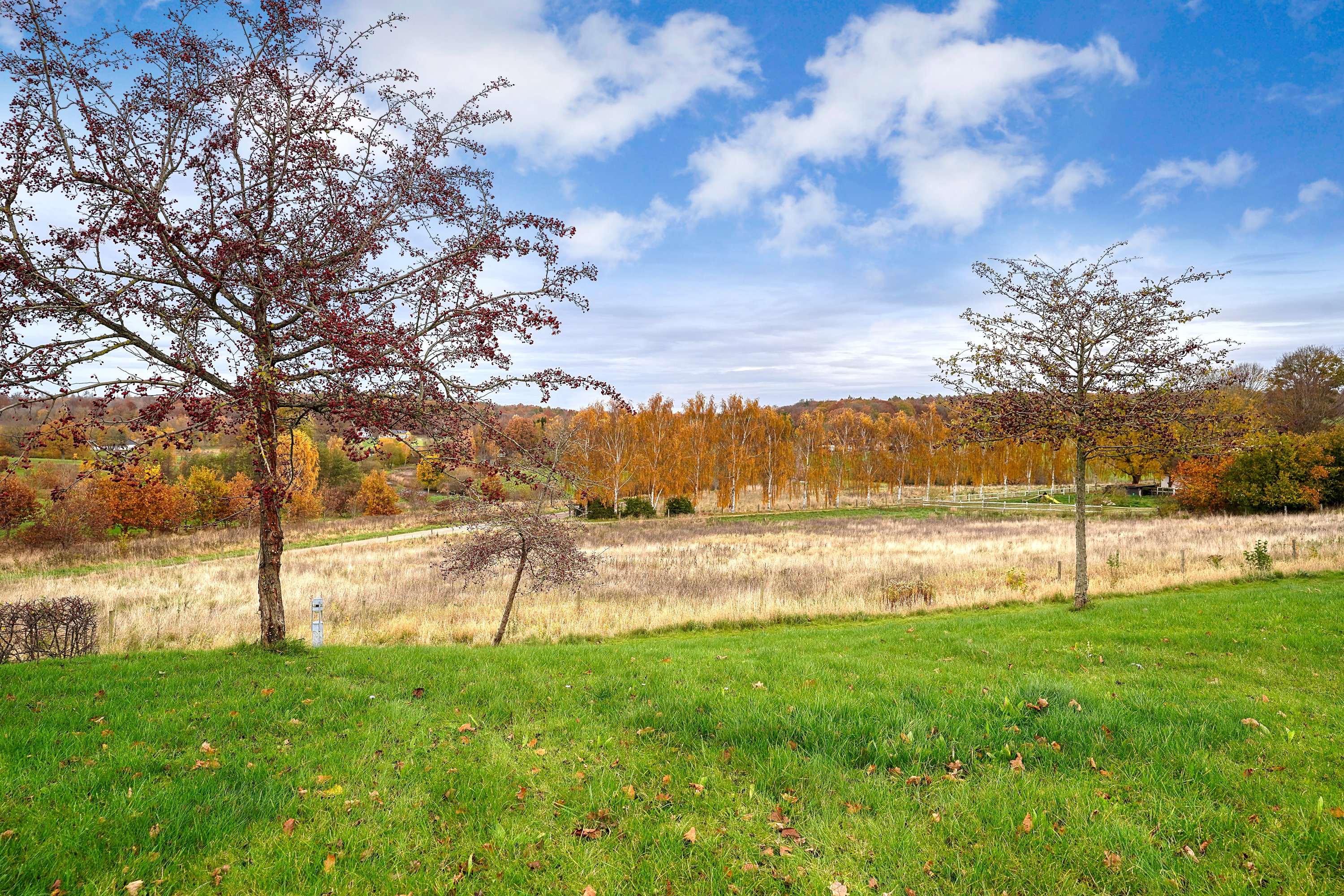 Fremhævet område billede i fuldskærmstilstand. Billede af Bøgehaven 108, 3500 Værløse