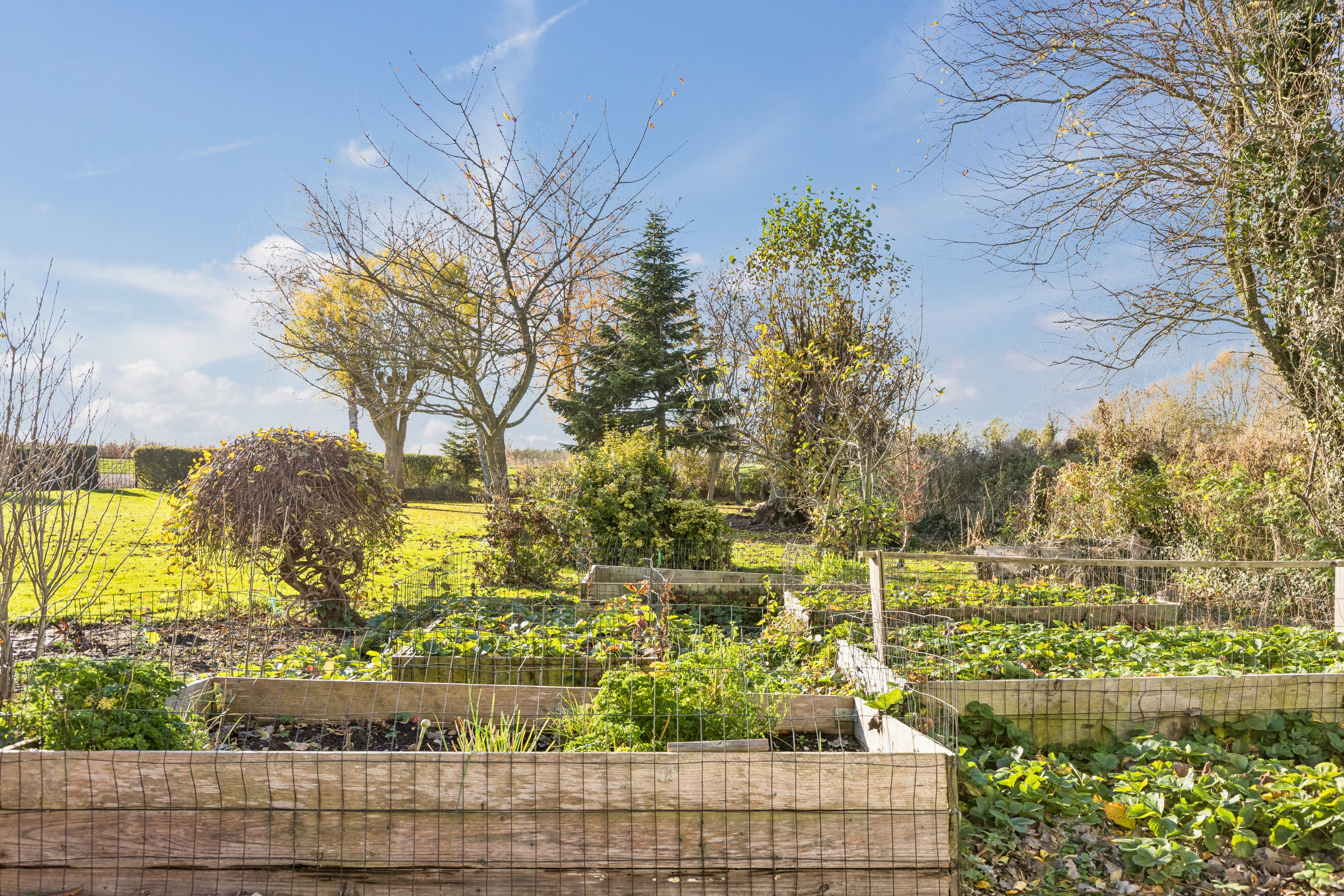 Fremhævet ejendom billede i fuldskærmstilstand. Billede af Strandvejen 8, Lammefjorden, 4532 Gislinge