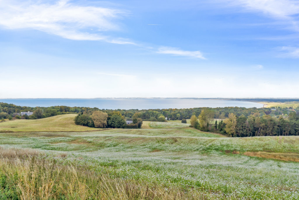 Fremhævet omgivelser billede i fuldskærmstilstand. Billede af Høve Klitbo 8, 4550 Asnæs