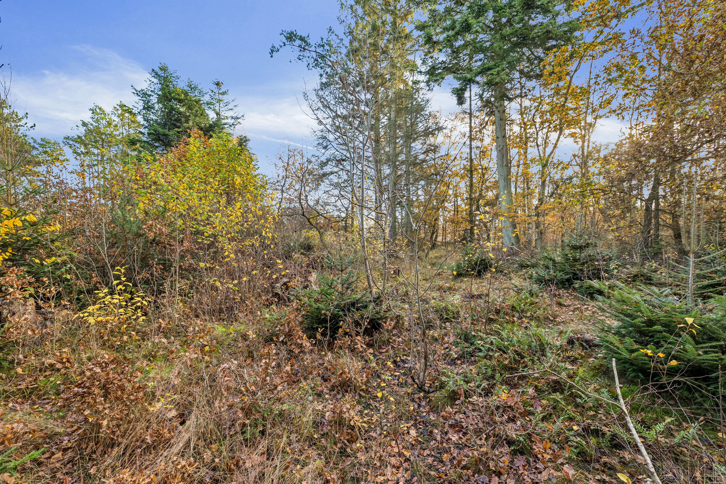 Fremhævet grund billede i fuldskærmstilstand. Billede af Strandlund 3, Helberskov, 9560 Hadsund