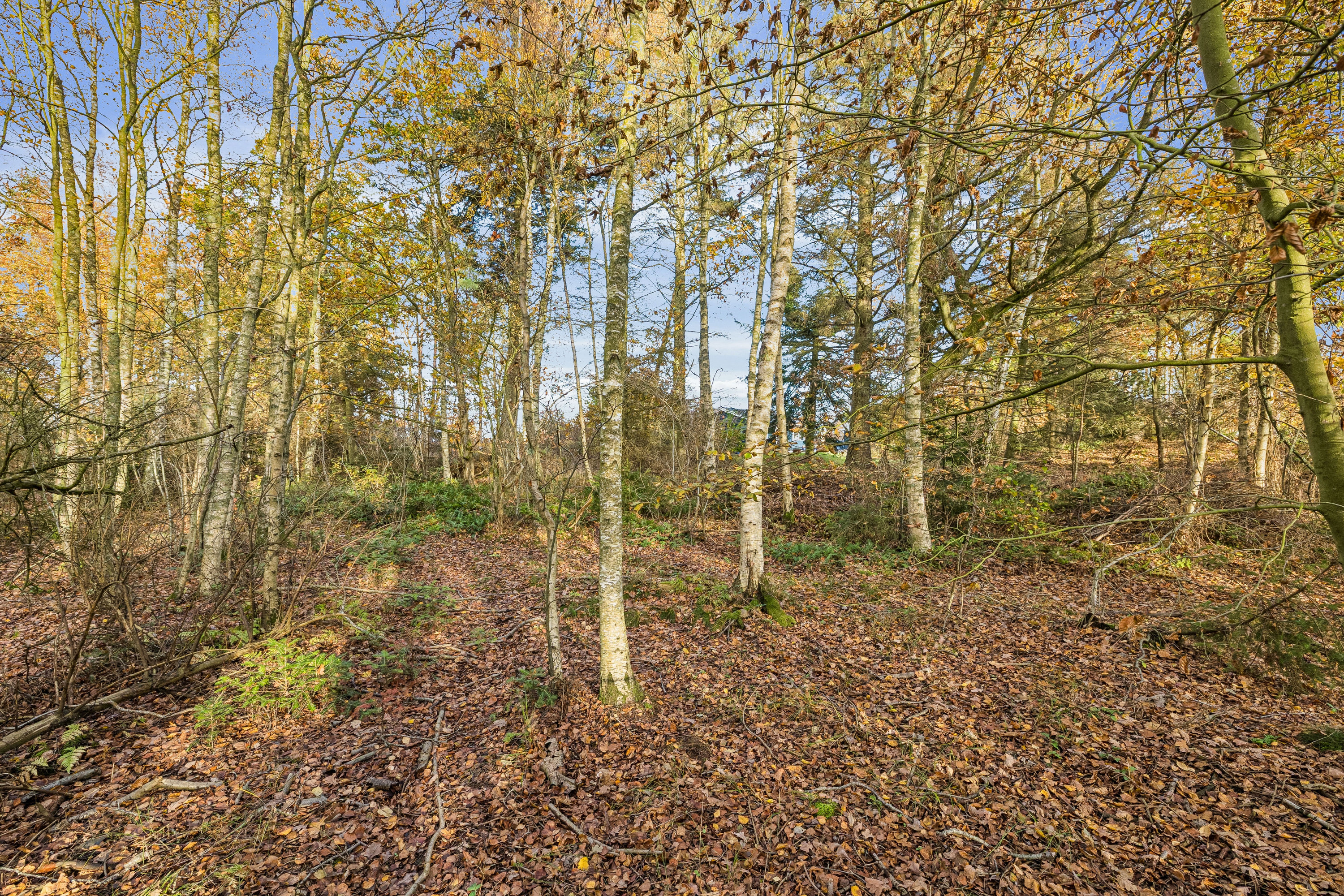 Fremhævet område billede i fuldskærmstilstand. Billede af Strandlund 3, Helberskov, 9560 Hadsund