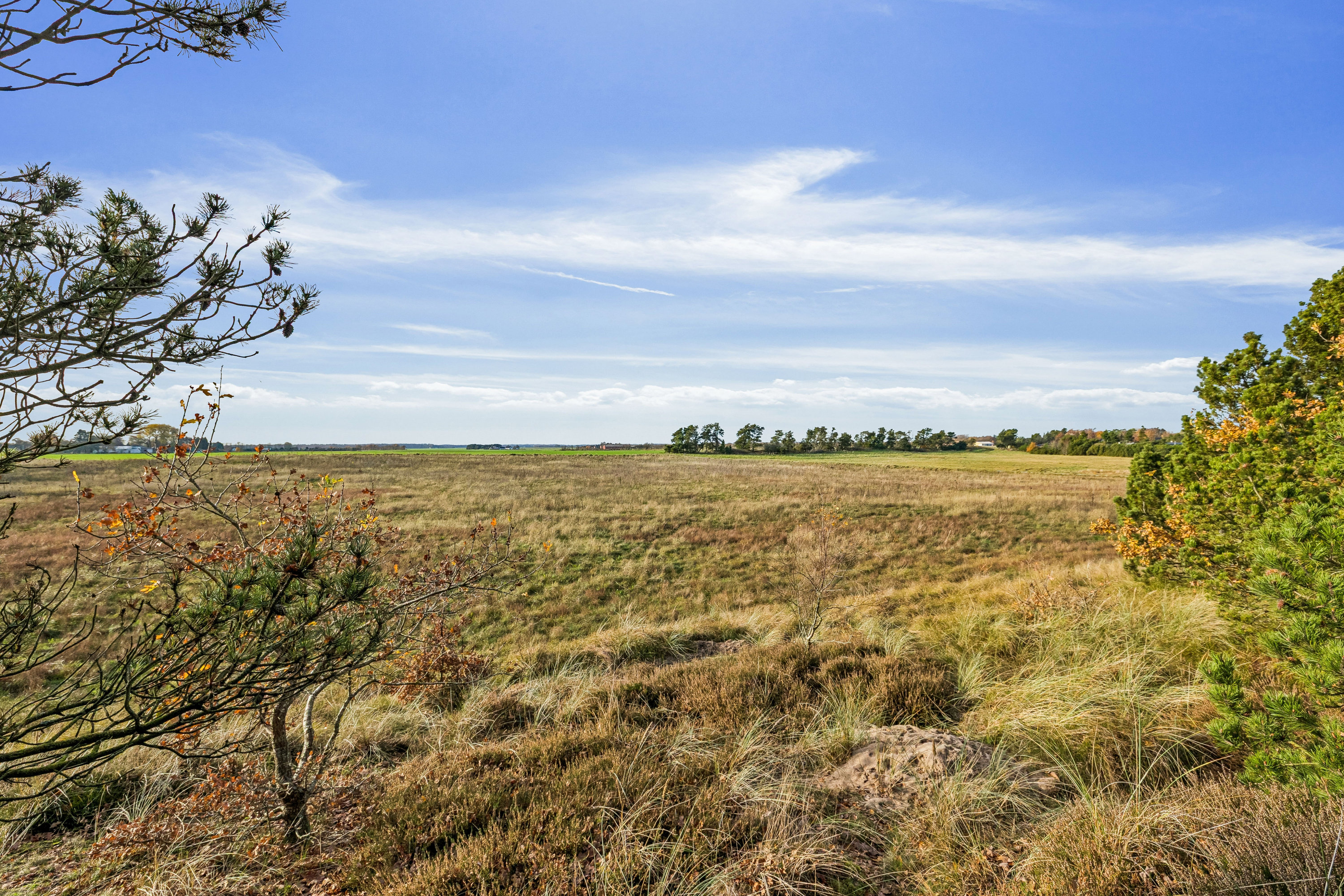 Fremhævet andet billede i fuldskærmstilstand. Billede af Strandlund 3, Helberskov, 9560 Hadsund