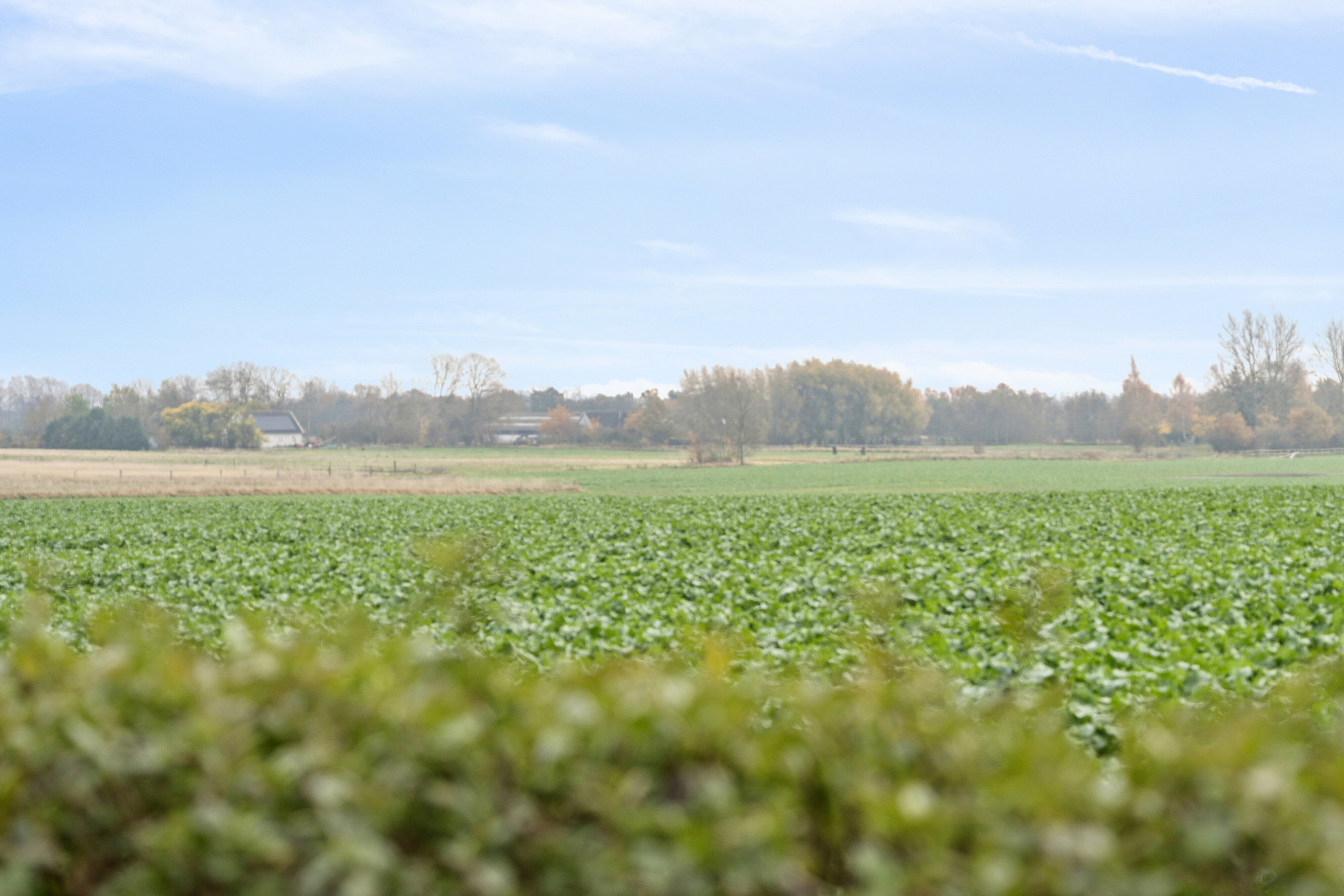 Fremhævet udendørs billede i fuldskærmstilstand. Billede af Katrinevej 16A, Gimlinge, 4200 Slagelse