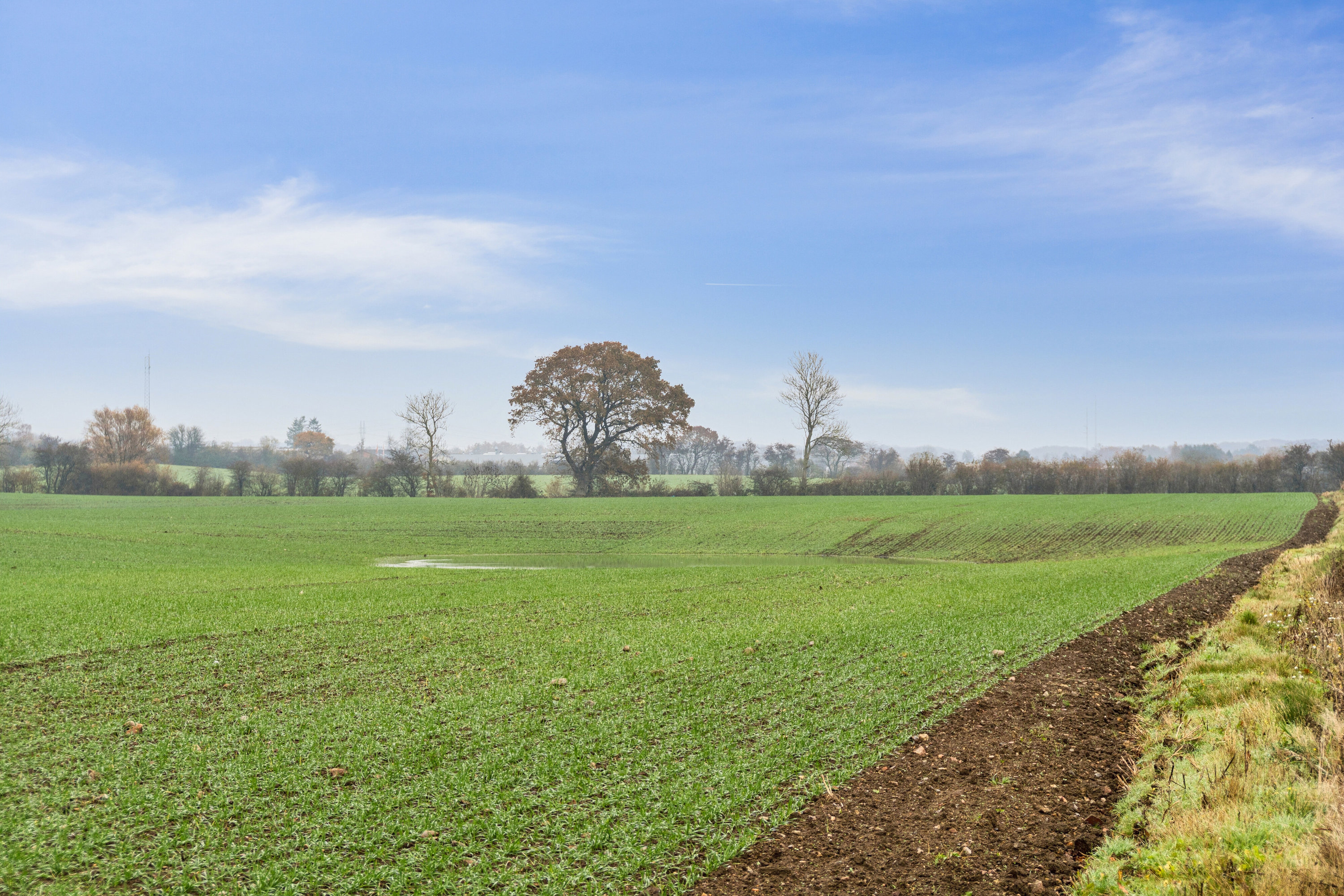 Fremhævet udendørs billede i fuldskærmstilstand. Billede af Karen Billes Vej 45, 5700 Svendborg