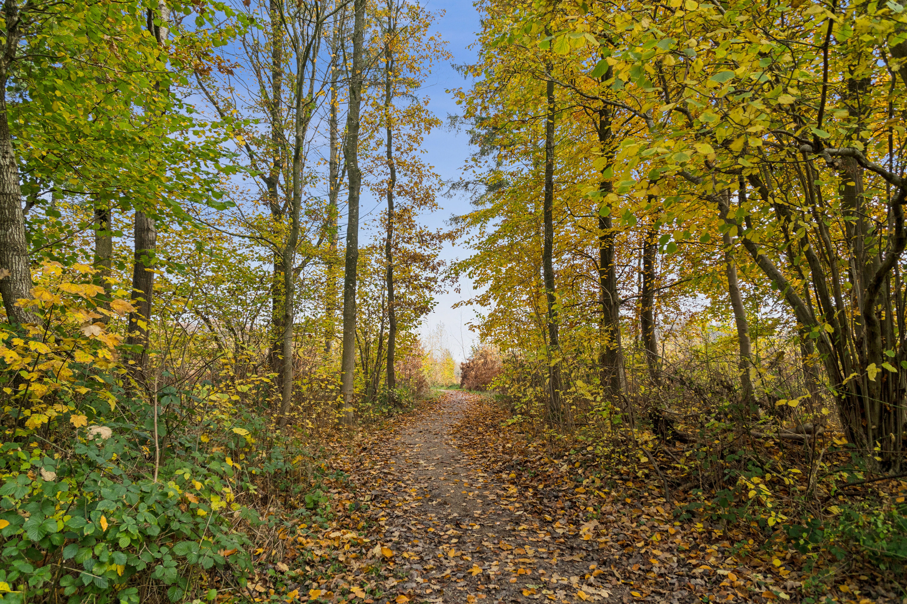 Fremhævet udendørs billede i fuldskærmstilstand. Billede af Karen Billes Vej 45, 5700 Svendborg