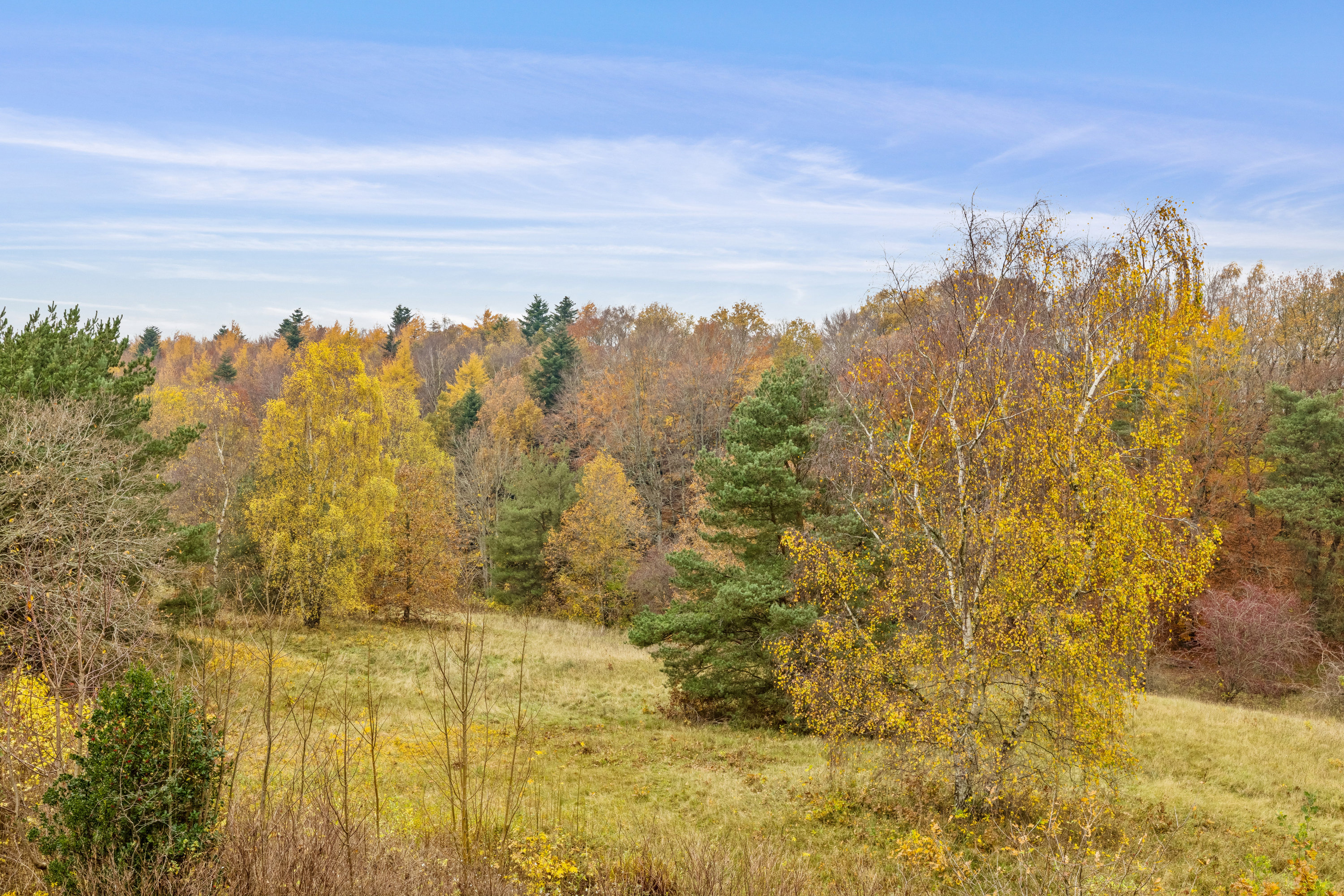 Fremhævet andet billede i fuldskærmstilstand. Billede af Kildebakken 12, 8800 Viborg