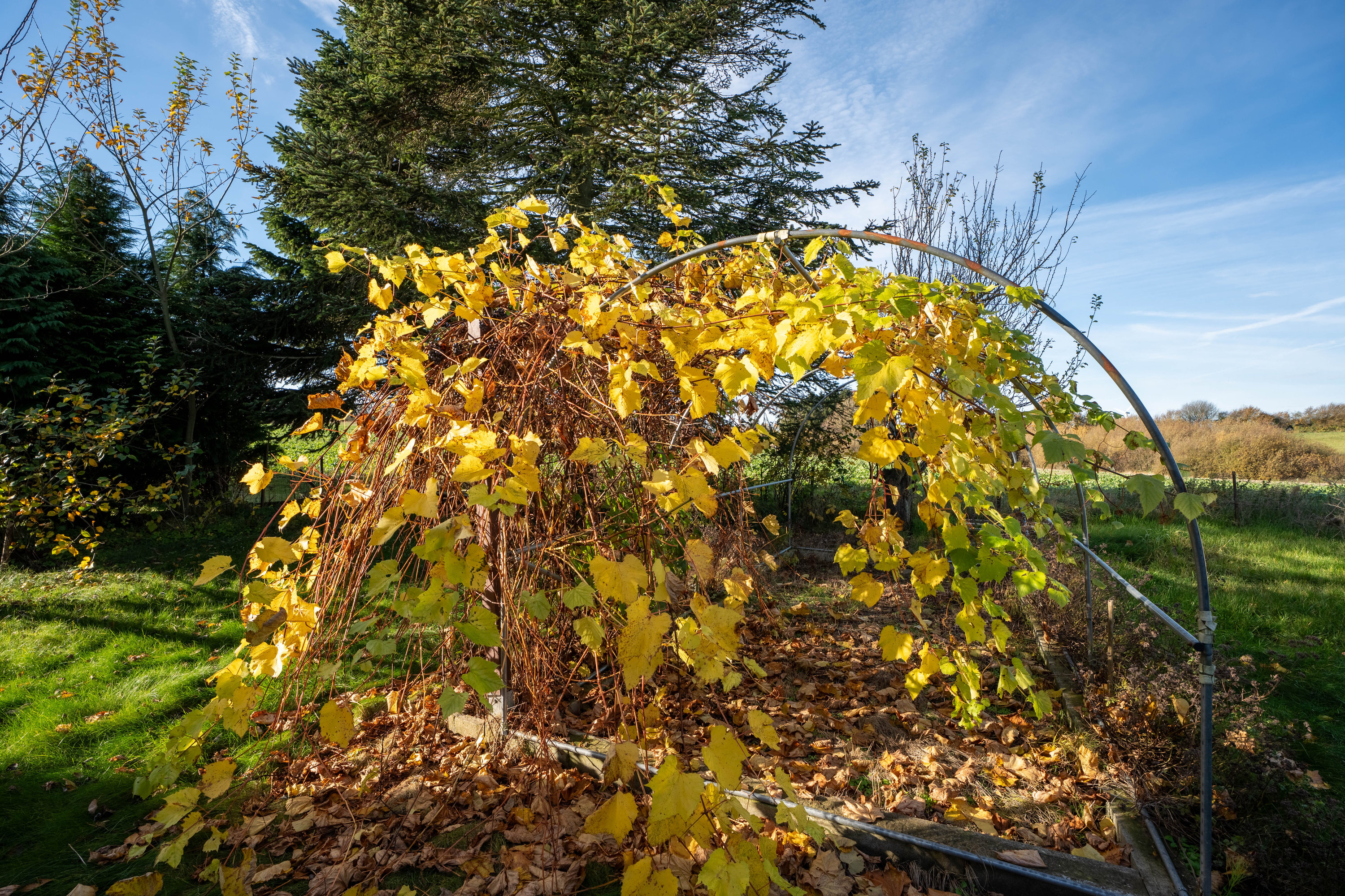 Fremhævet  billede i fuldskærmstilstand. Billede af Sognevej 19, Søllested, 5620 Glamsbjerg
