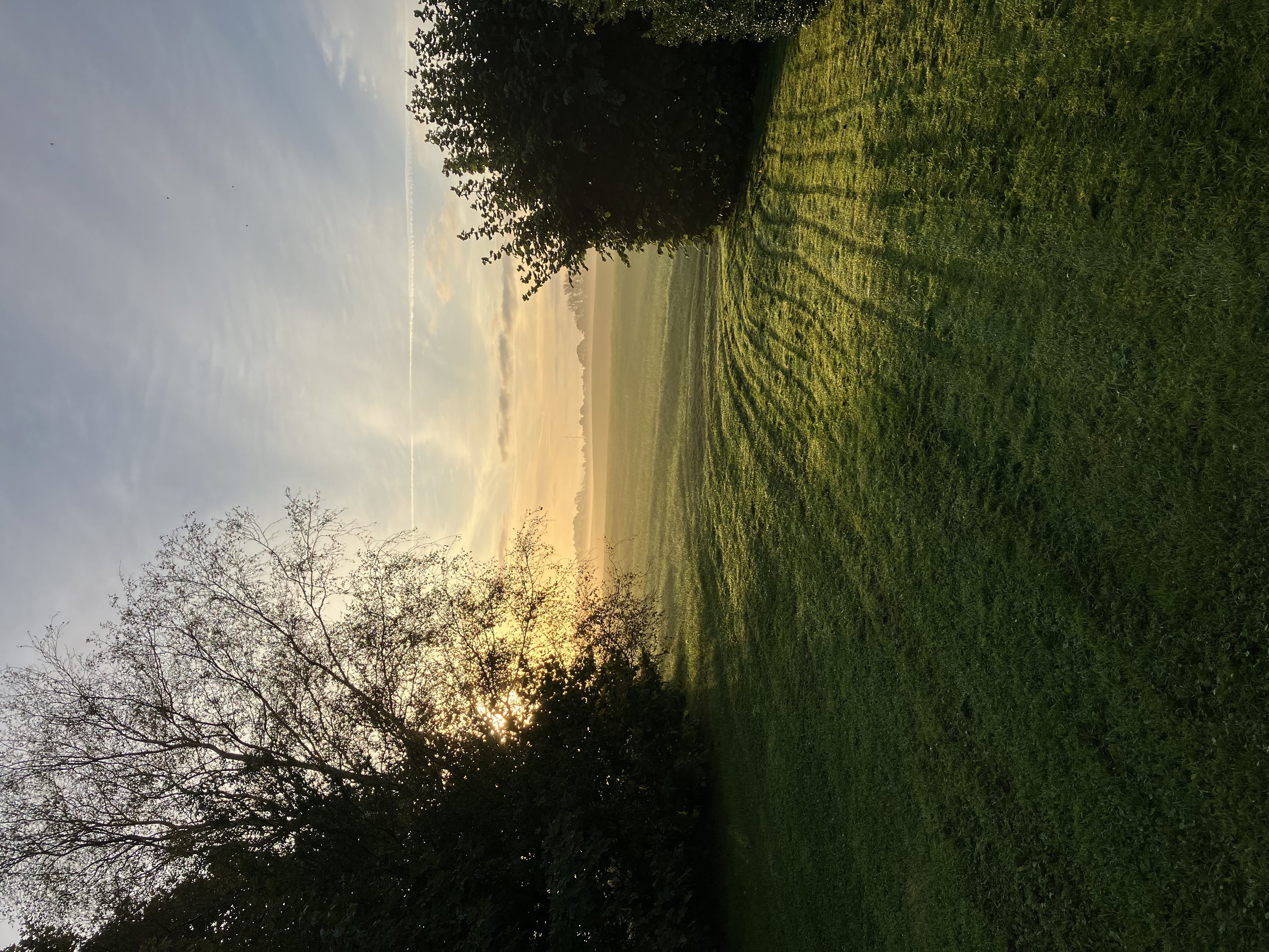 Miniaturebillede 1: . Billede af Bovsbjergvej 4, Torup, 8860 Ulstrup