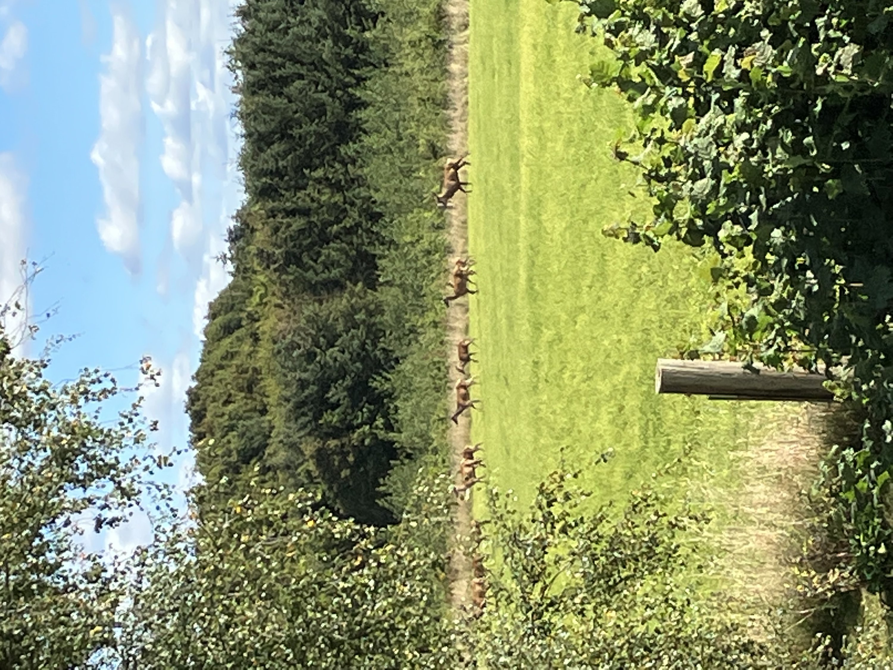 Fremhævet  billede i fuldskærmstilstand. Billede af Bovsbjergvej 4, Torup, 8860 Ulstrup