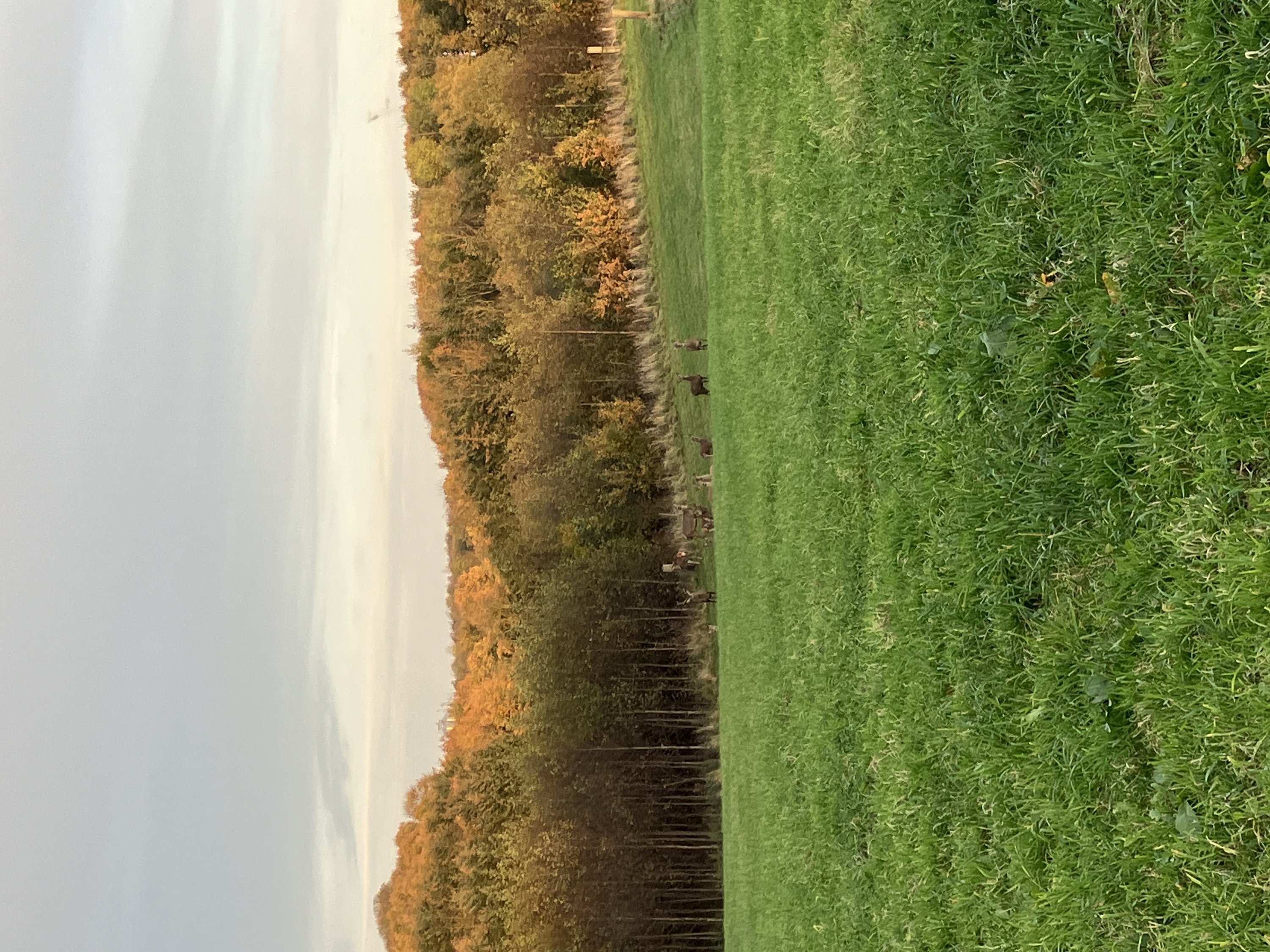 Fremhævet  billede i fuldskærmstilstand. Billede af Bovsbjergvej 4, Torup, 8860 Ulstrup