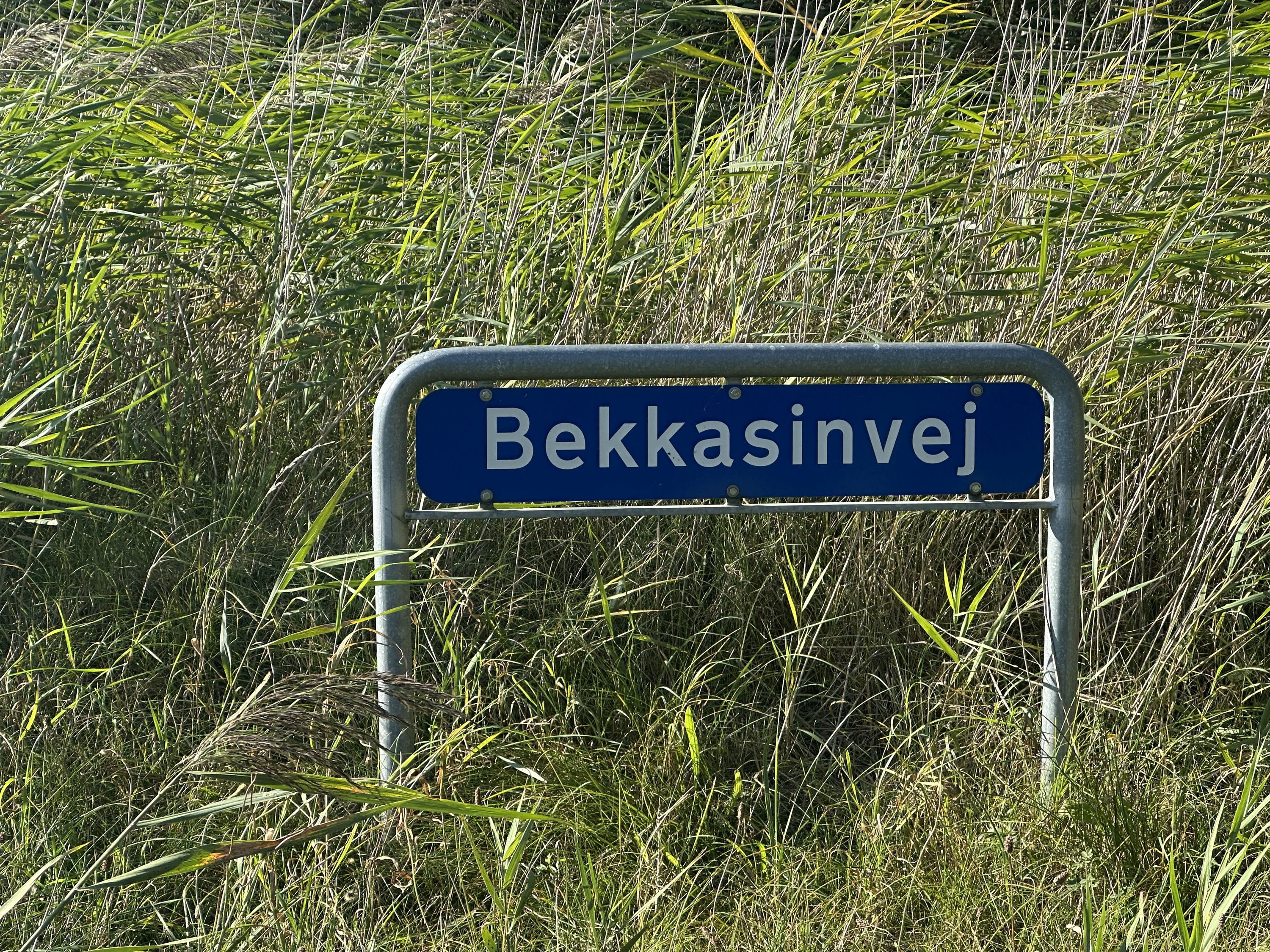 Miniaturebillede 1: . Billede af Bekkasinvej 5, Saksfjed Ø, 4970 Rødby