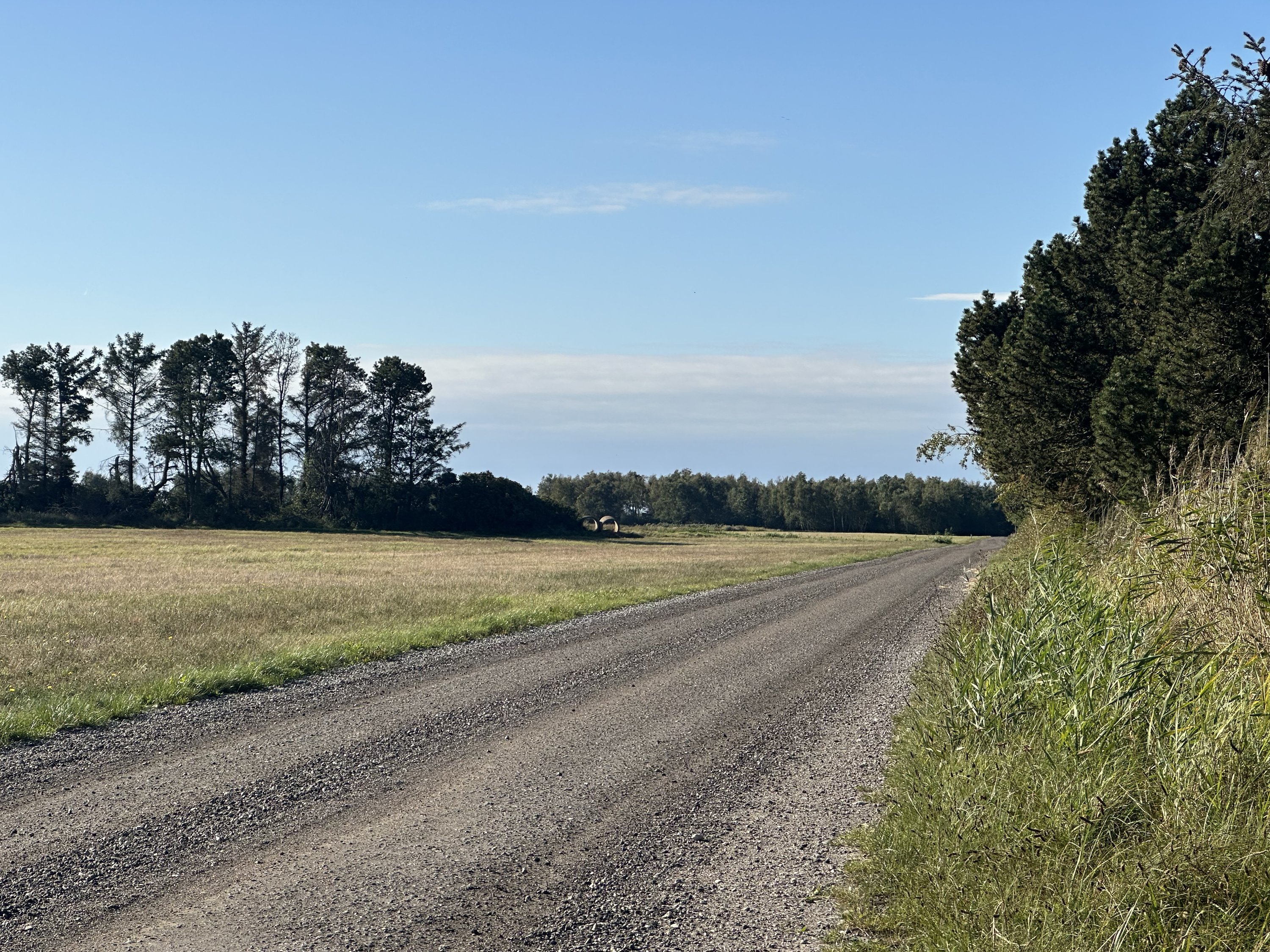 Miniaturebillede 2: . Billede af Bekkasinvej 5, Saksfjed Ø, 4970 Rødby