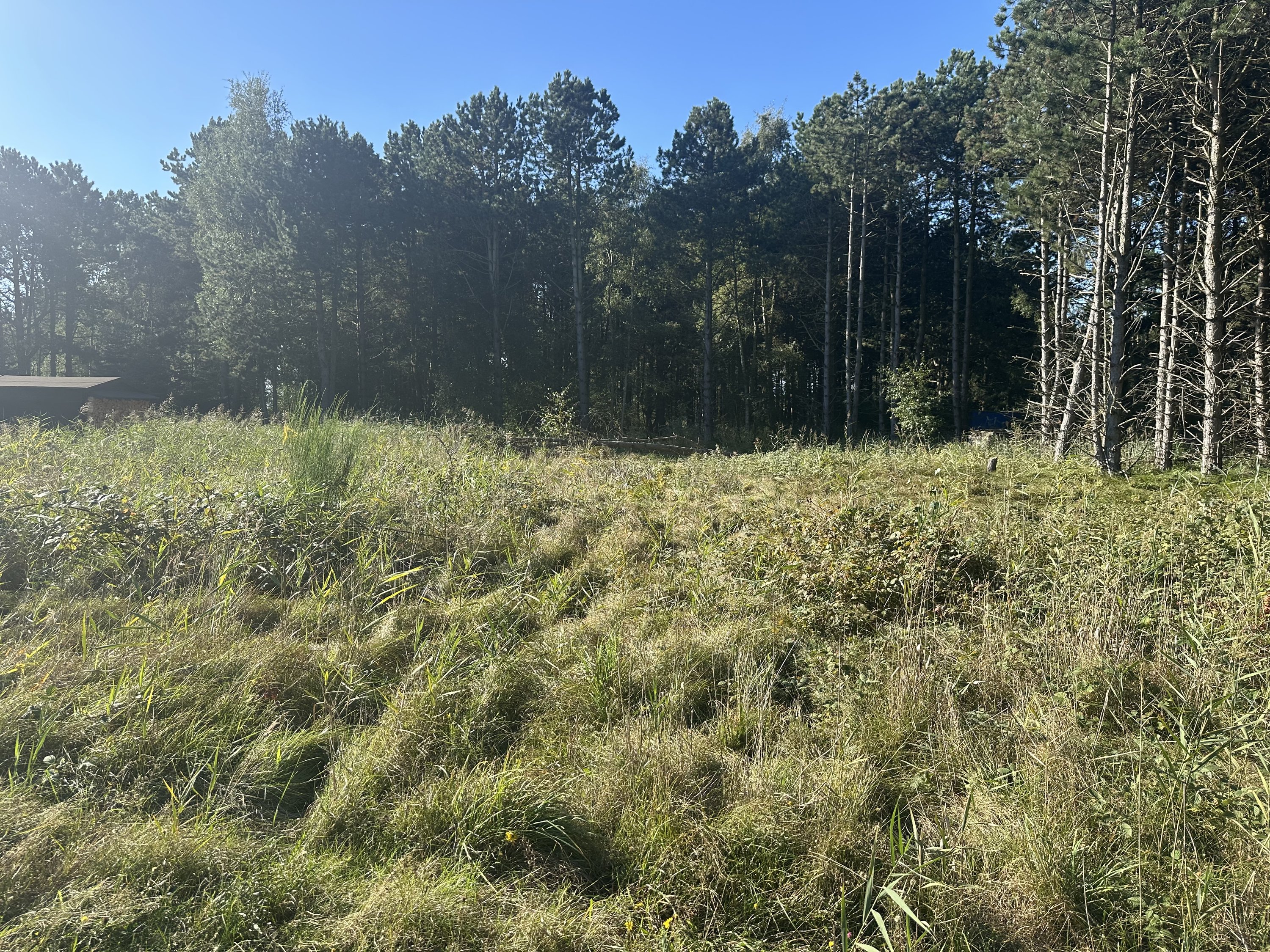 Fremhævet  billede i fuldskærmstilstand. Billede af Bekkasinvej 5, Saksfjed Ø, 4970 Rødby