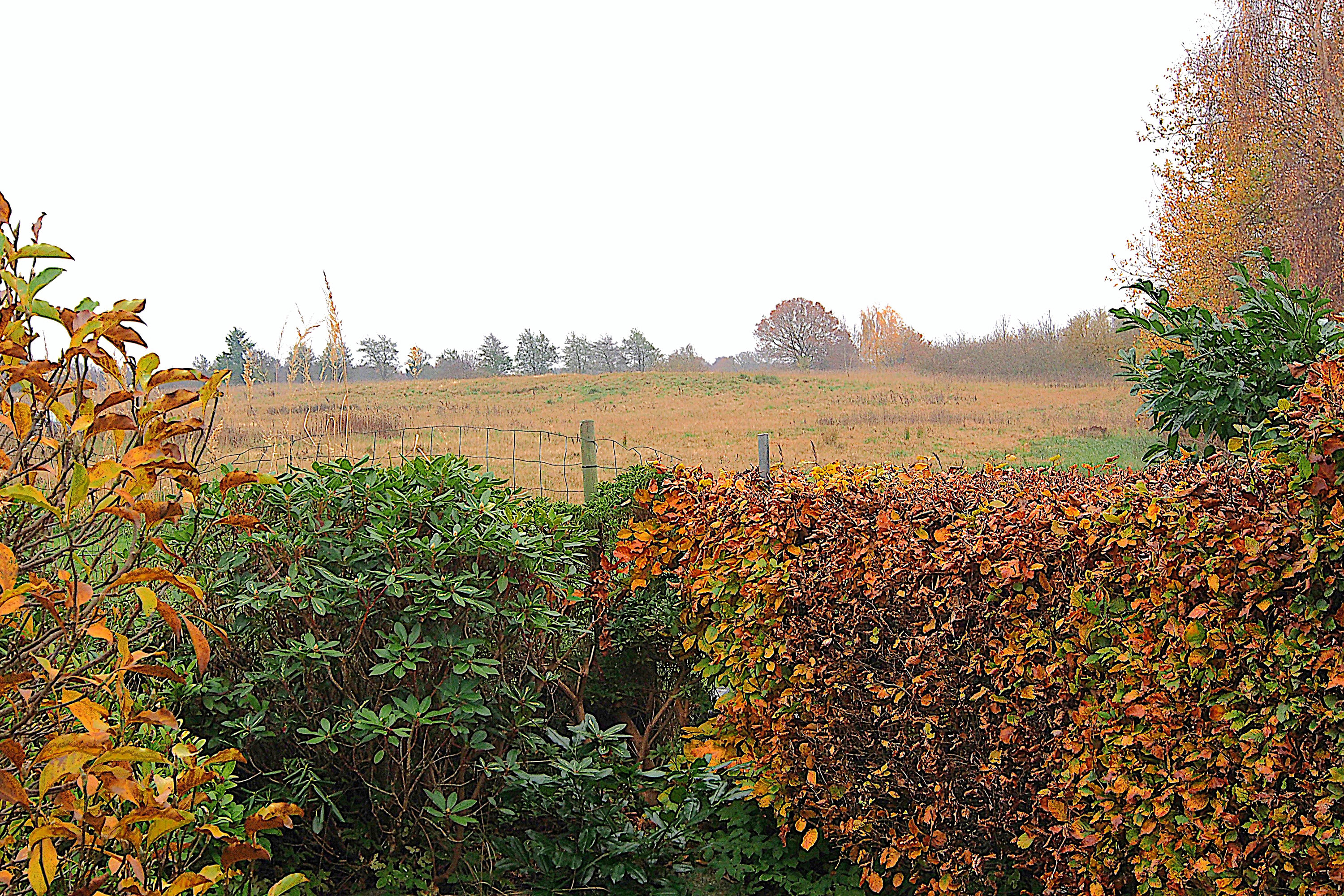 Miniaturebillede 1: . Billede af Langebjergvej 560, 3050 Humlebæk