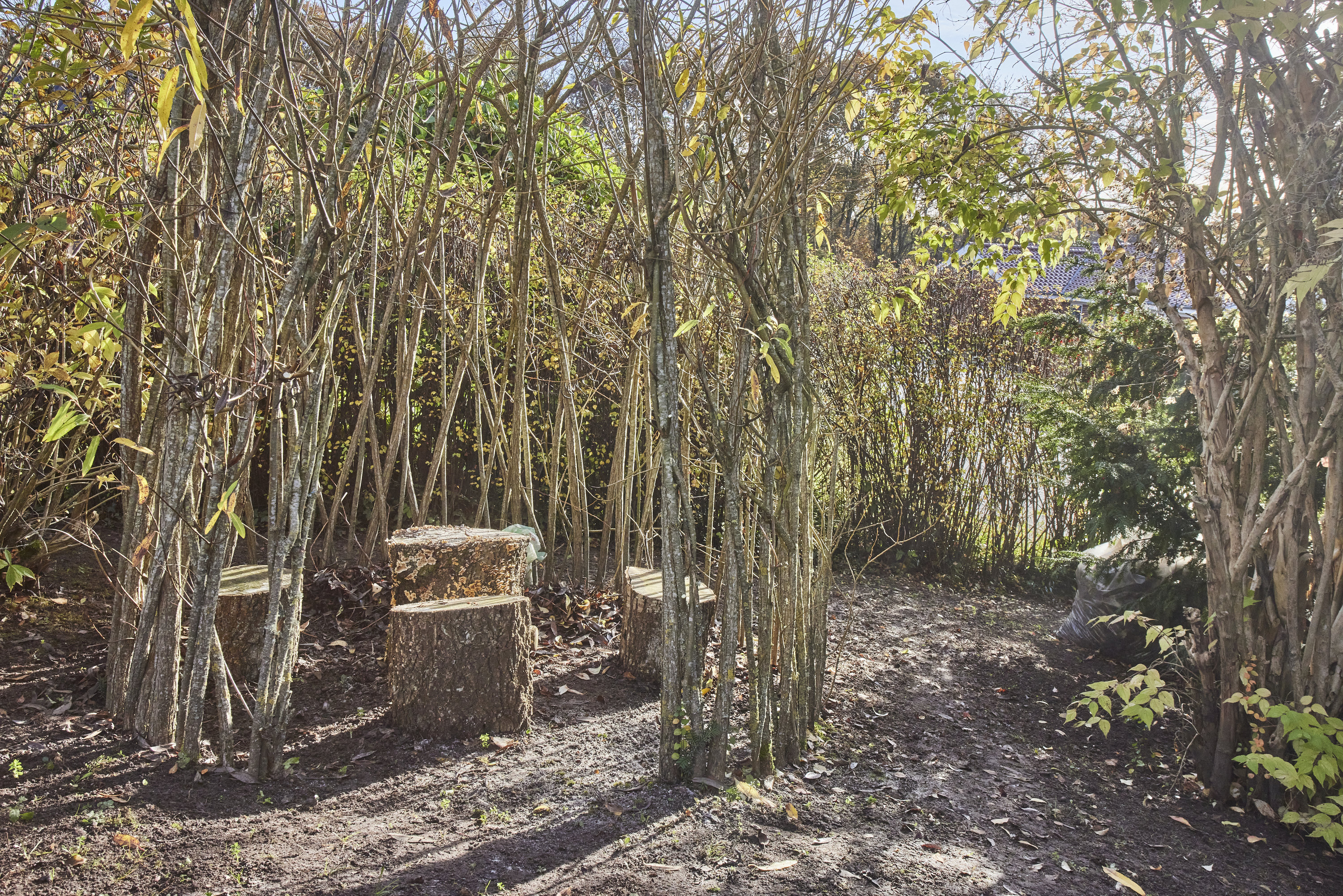 Fremhævet andet billede i fuldskærmstilstand. Billede af Højmarkstoften 49, 8600 Silkeborg