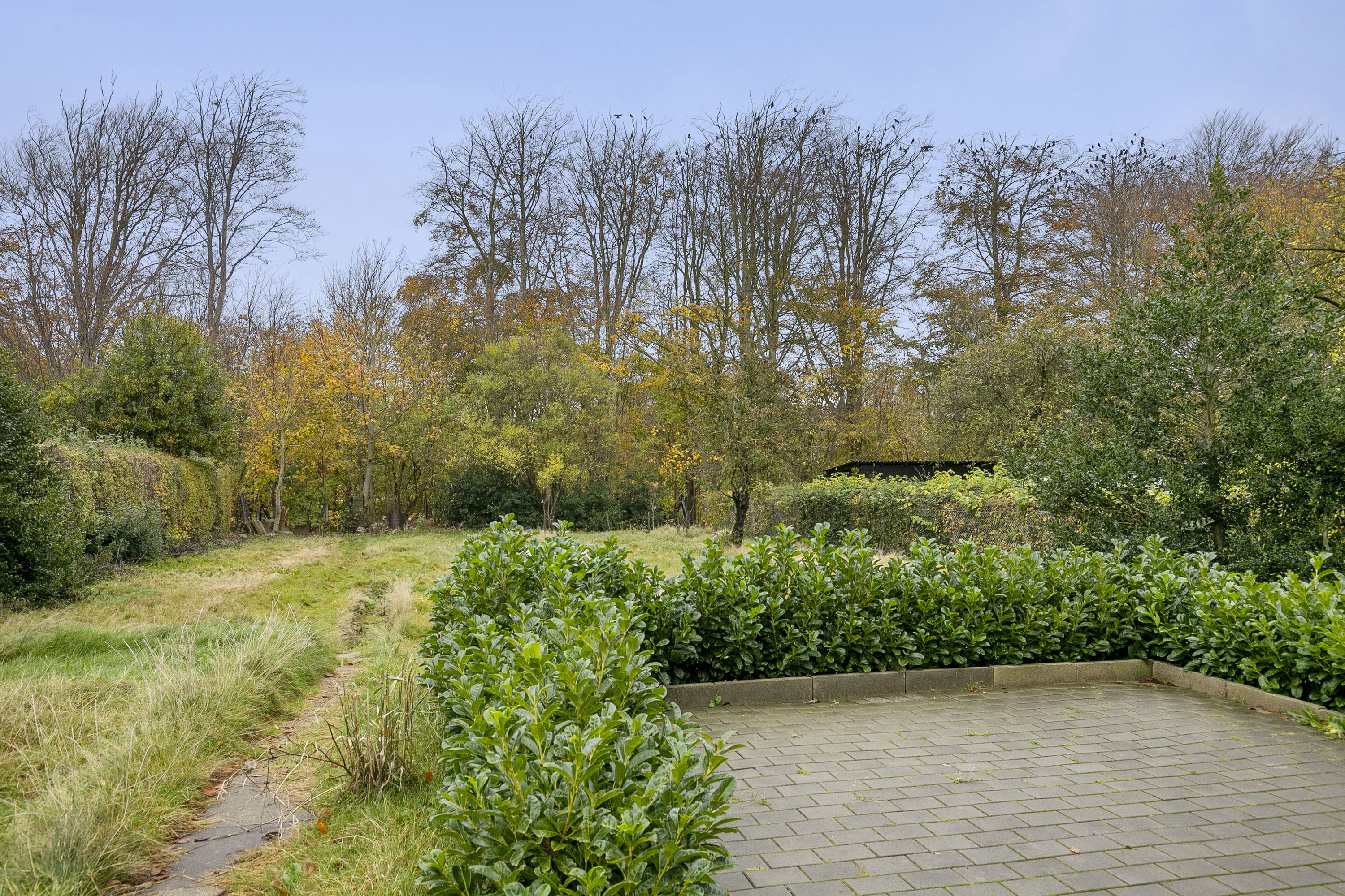 Fremhævet have billede i fuldskærmstilstand. Billede af Møllevej 19, 9760 Vrå