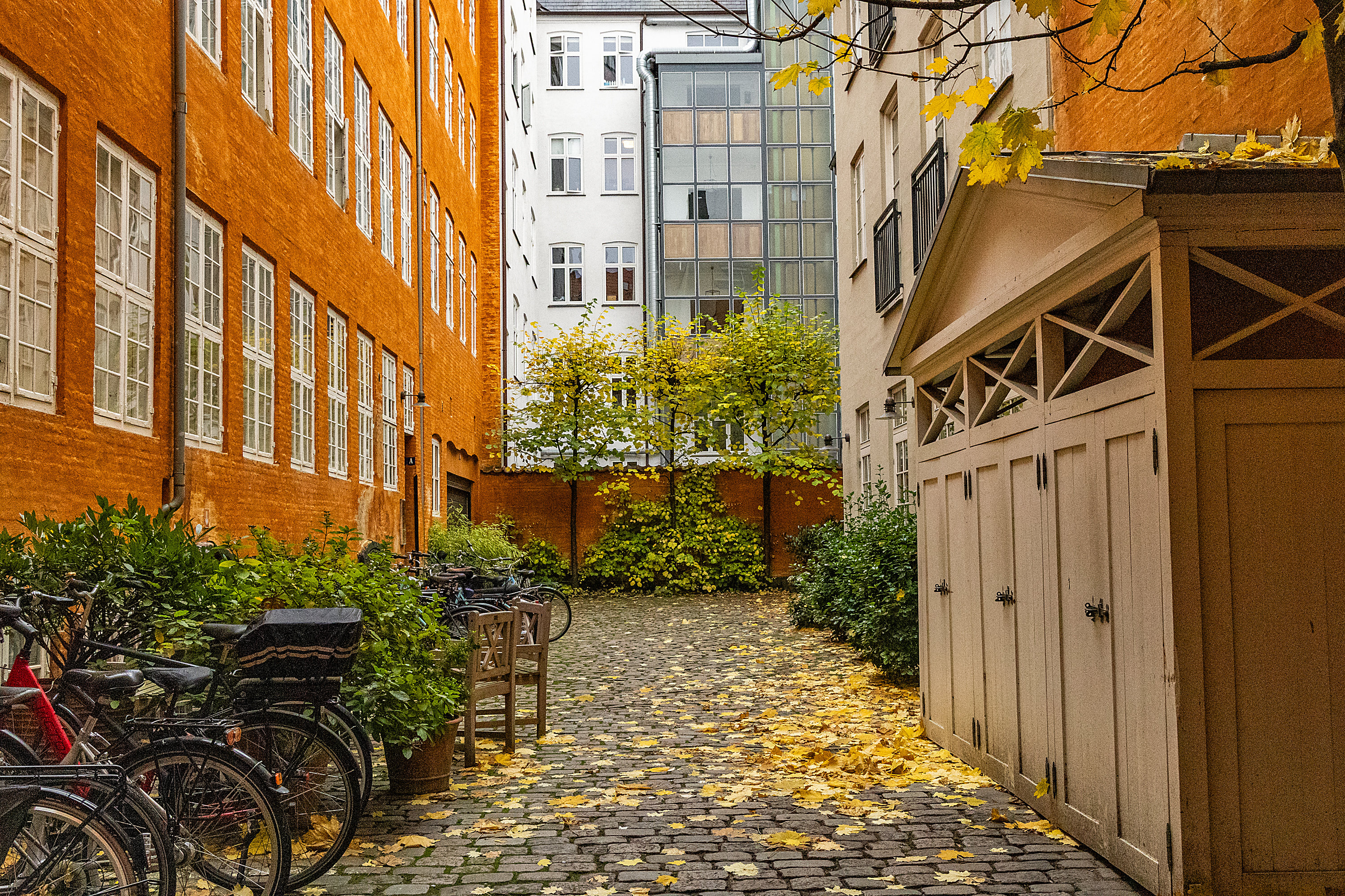 Fremhævet gårdmiljø billede i fuldskærmstilstand. Billede af Nyhavn 12, 3., 1051 København K