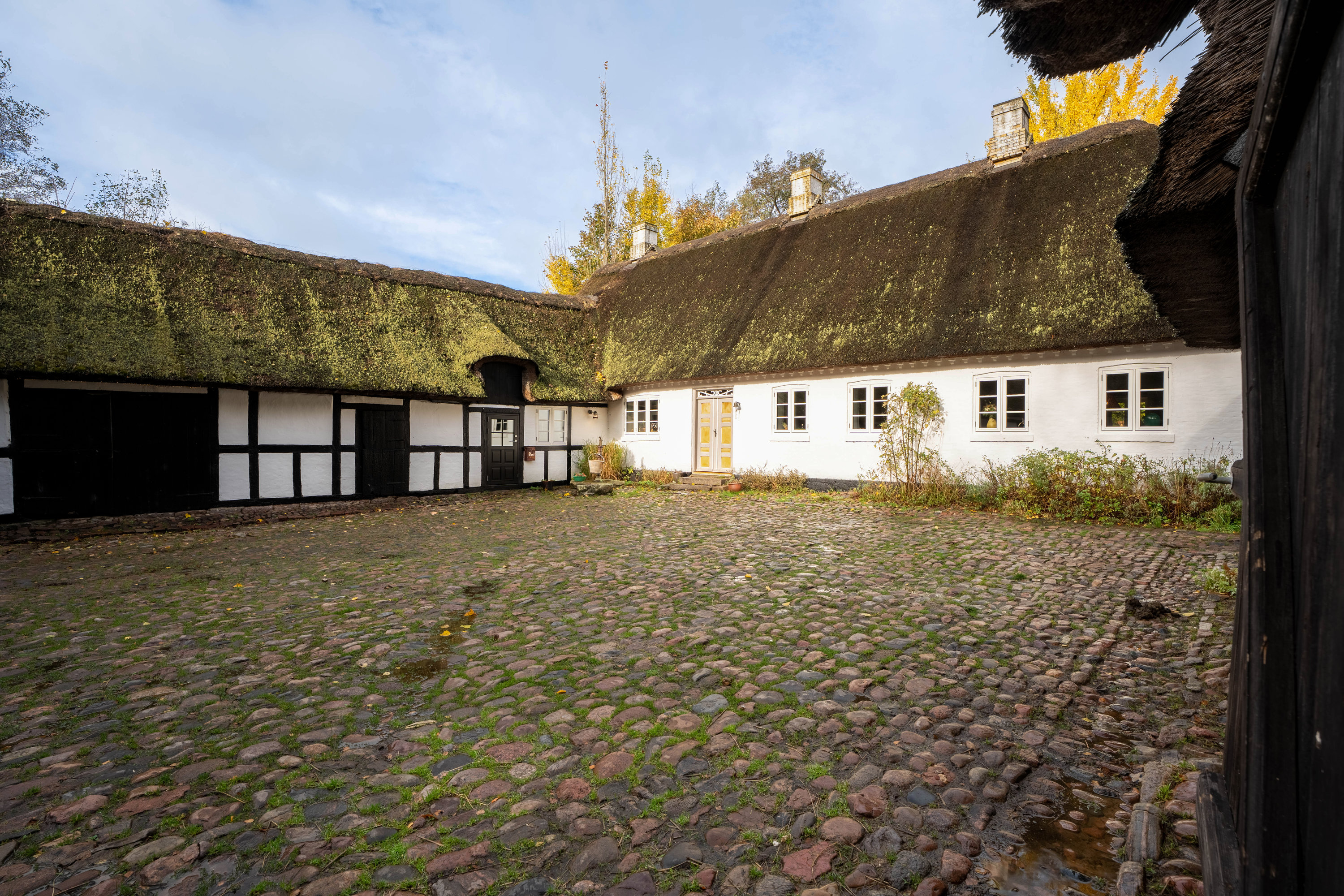 Fremhævet  billede i fuldskærmstilstand. Billede af Fåborgvej 64, Ådalen, 5620 Glamsbjerg