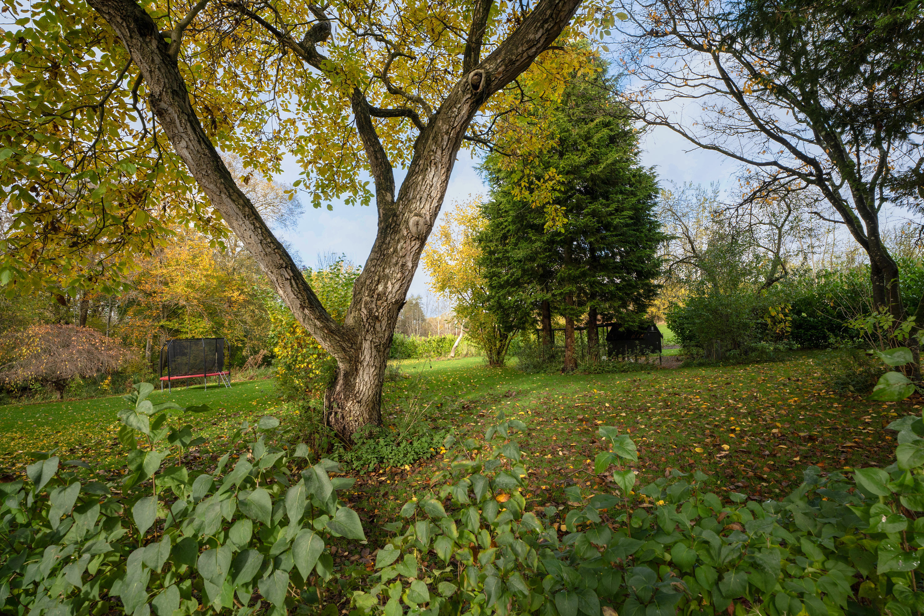 Fremhævet  billede i fuldskærmstilstand. Billede af Fåborgvej 64, Ådalen, 5620 Glamsbjerg