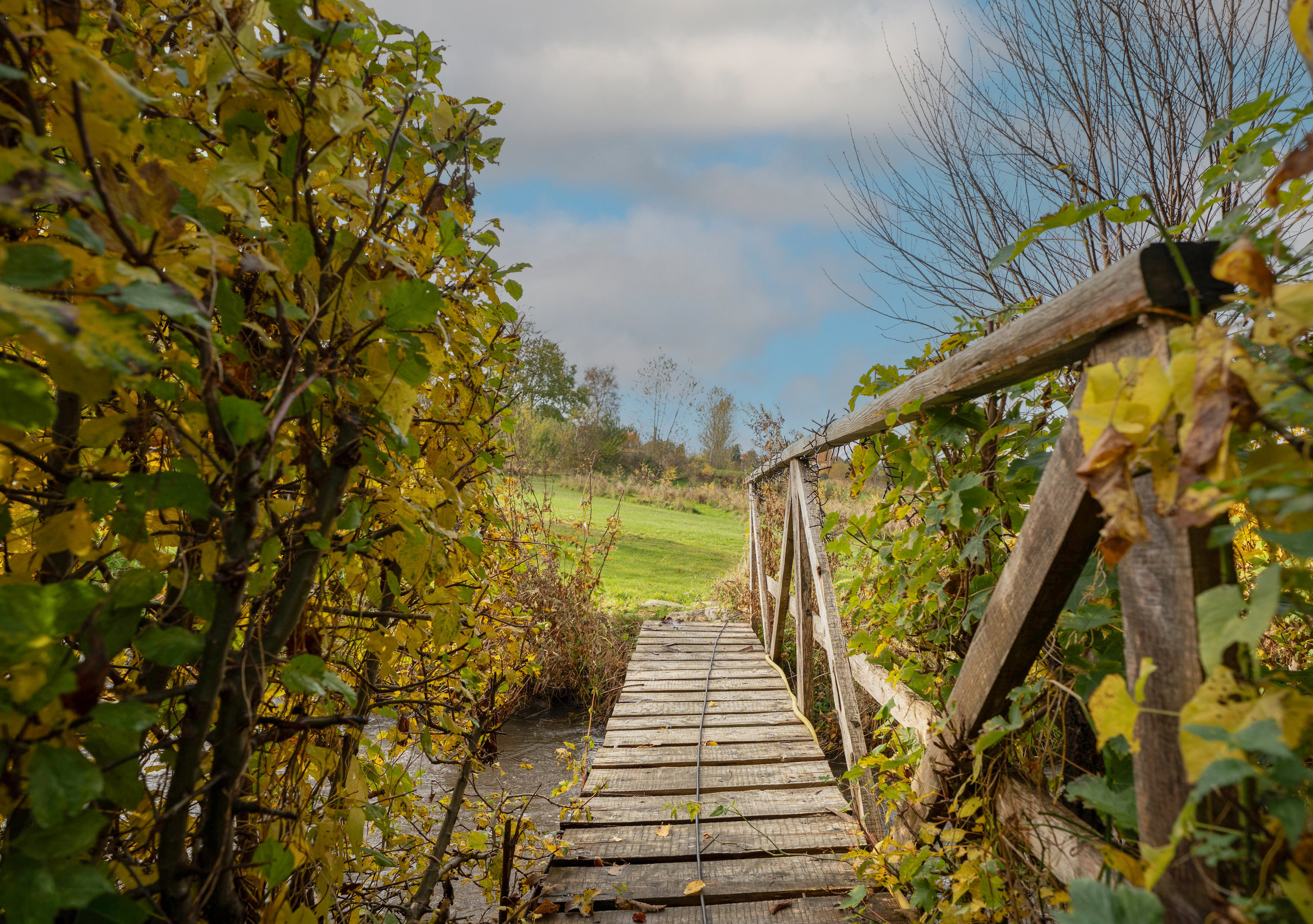 Fremhævet  billede i fuldskærmstilstand. Billede af Fåborgvej 64, Ådalen, 5620 Glamsbjerg