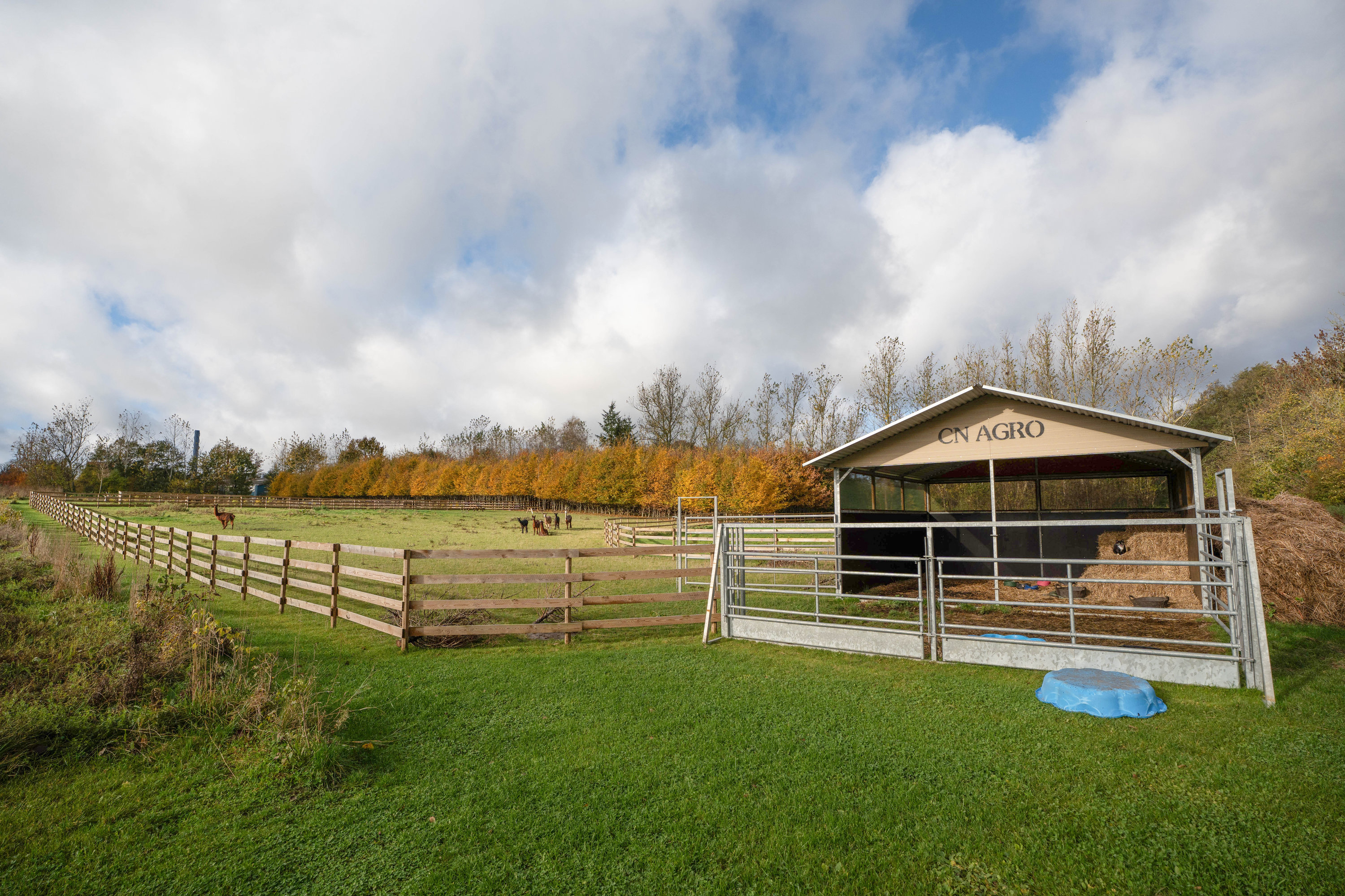 Fremhævet  billede i fuldskærmstilstand. Billede af Fåborgvej 64, Ådalen, 5620 Glamsbjerg