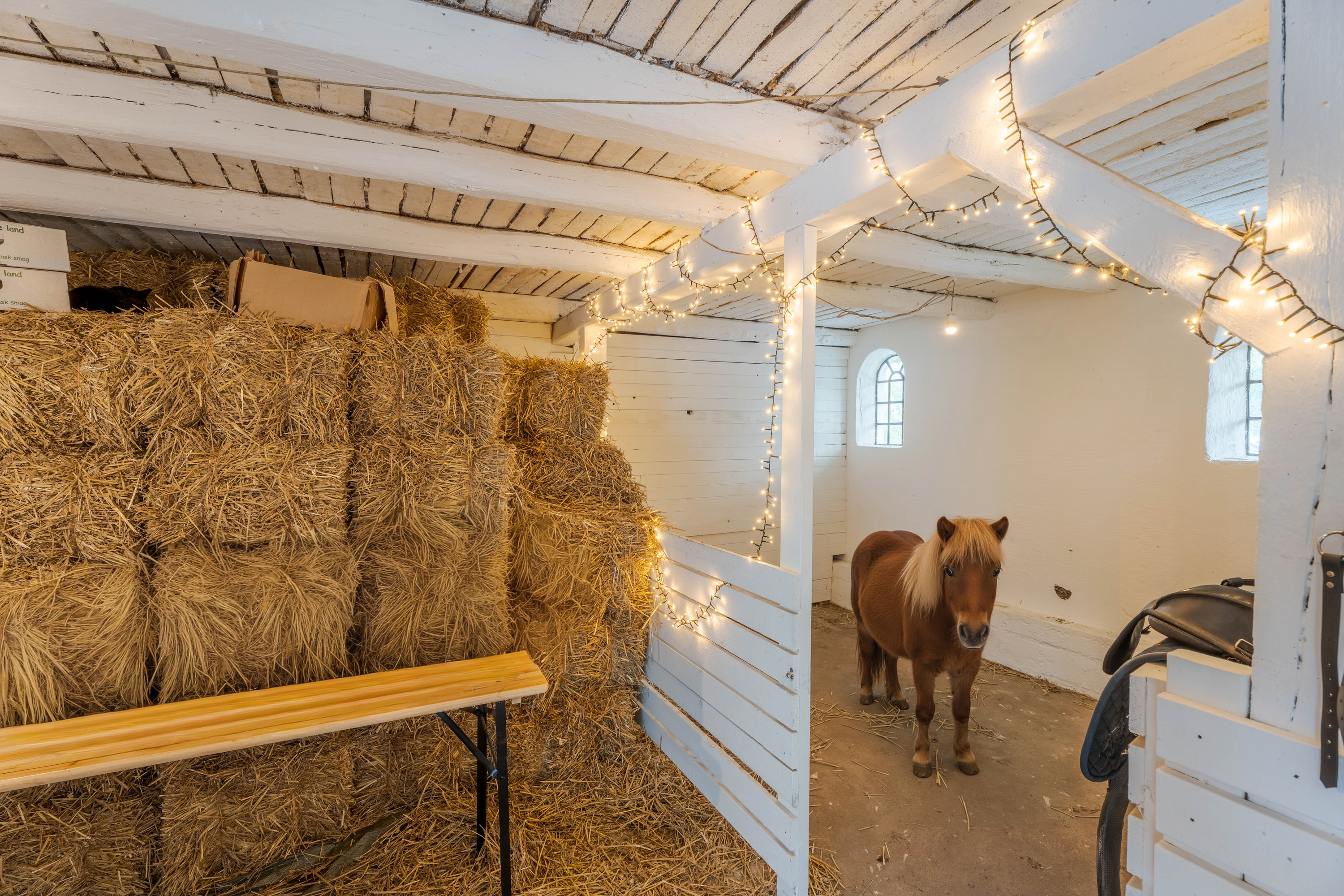 Miniaturebillede 1: . Billede af Fåborgvej 64, Ådalen, 5620 Glamsbjerg