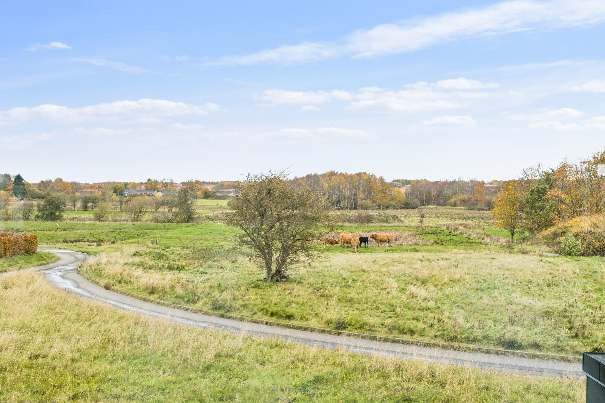 Fremhævet have billede i fuldskærmstilstand. Billede af Boikenvej 7, 8960 Randers SØ