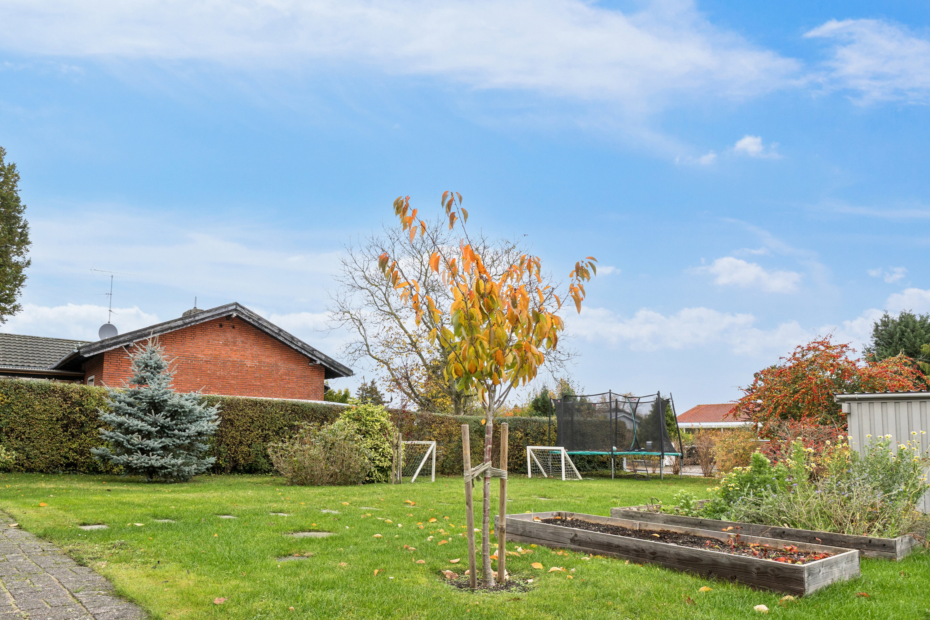 Fremhævet have billede i fuldskærmstilstand. Billede af Ørumvej 35, 1., 2650 Hvidovre