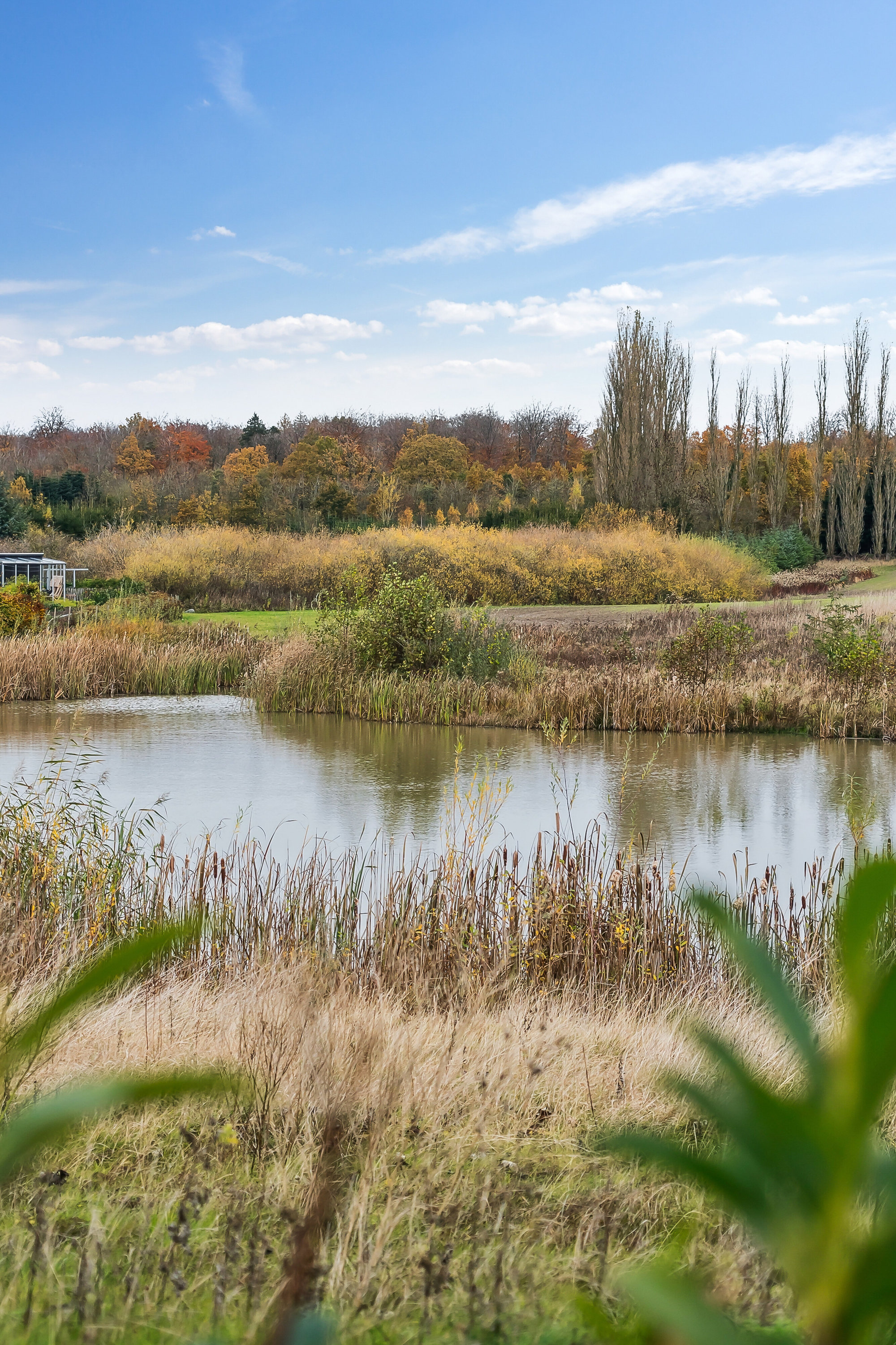 Miniaturebillede 1: udsigt. Billede af Klosterlunden 183, 4700 Næstved