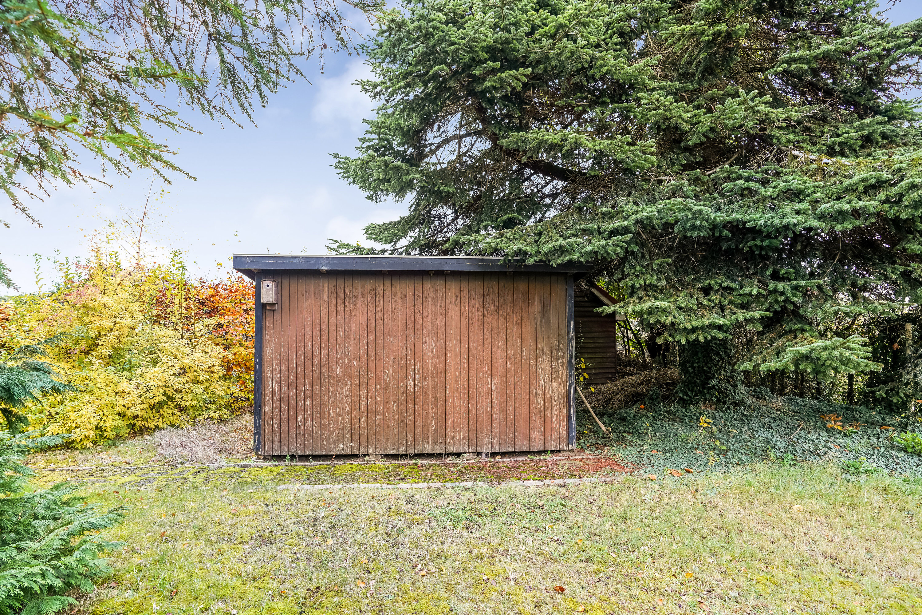 Fremhævet have billede i fuldskærmstilstand. Billede af Købkesvej 33, 5230 Odense M